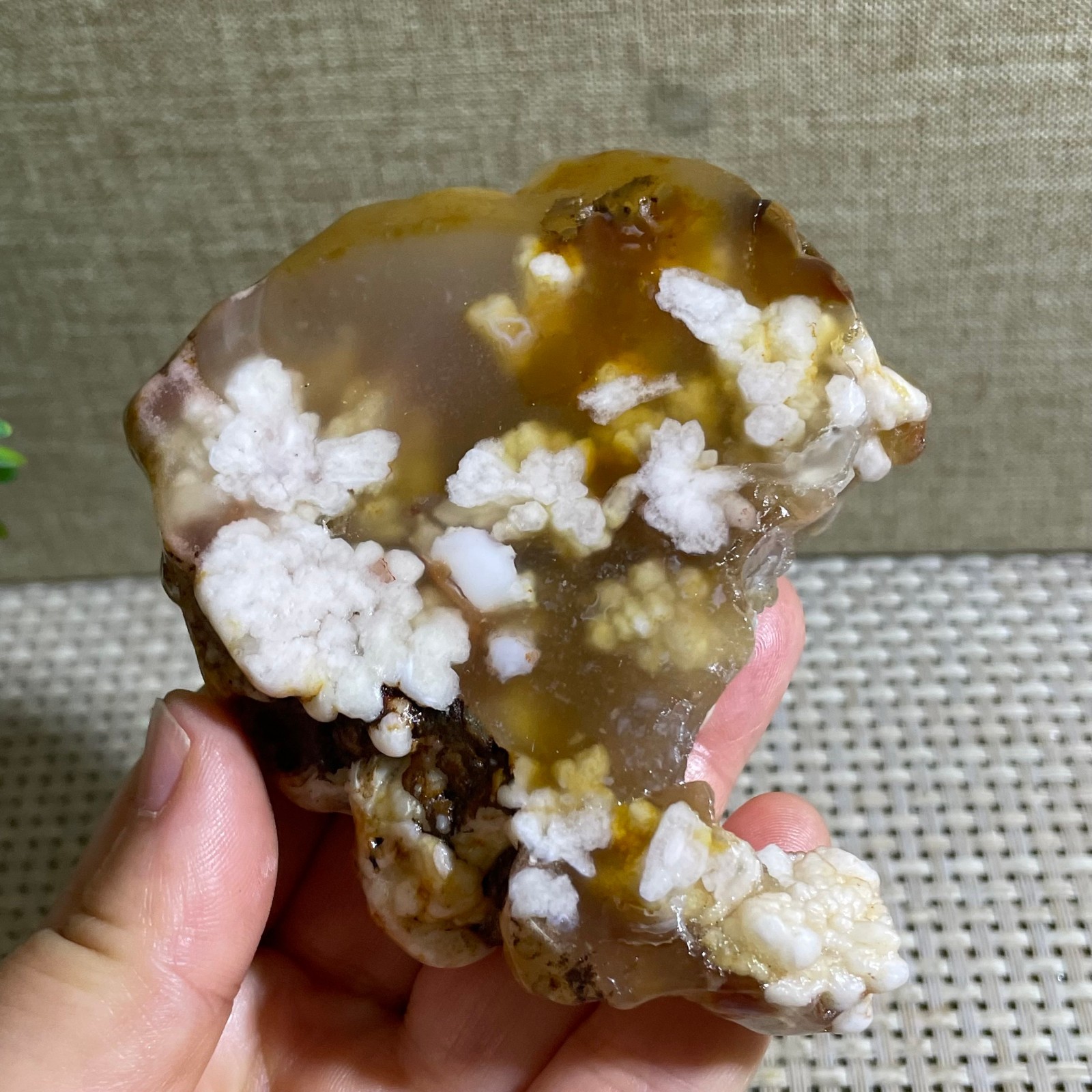 Sakura Agate Blossom Facet Rough Specimen Madagascar 186g g42