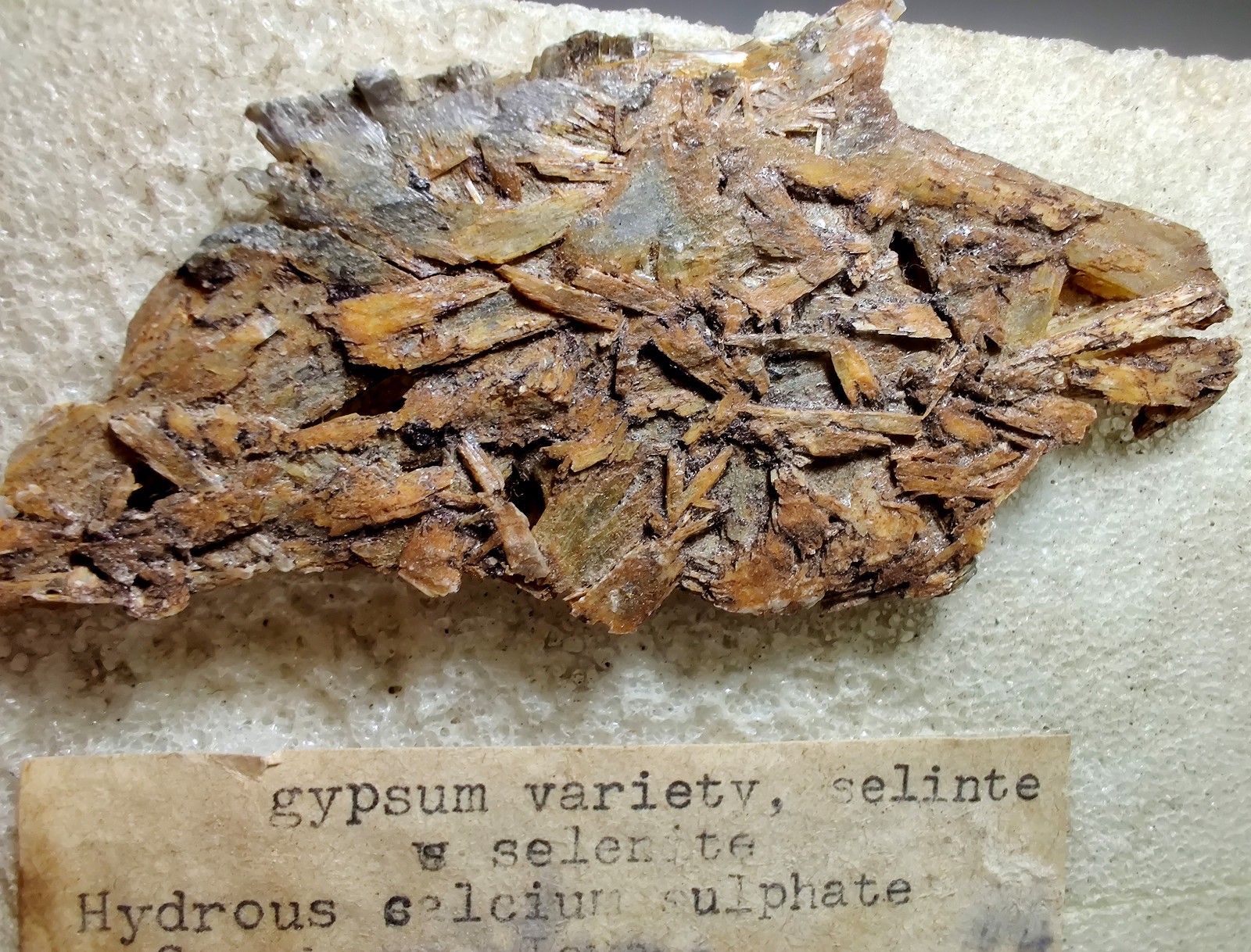 Gypsum-Selenite crystals, old “traded” collection piece . Stanhope, Iowa. 9 cm.
