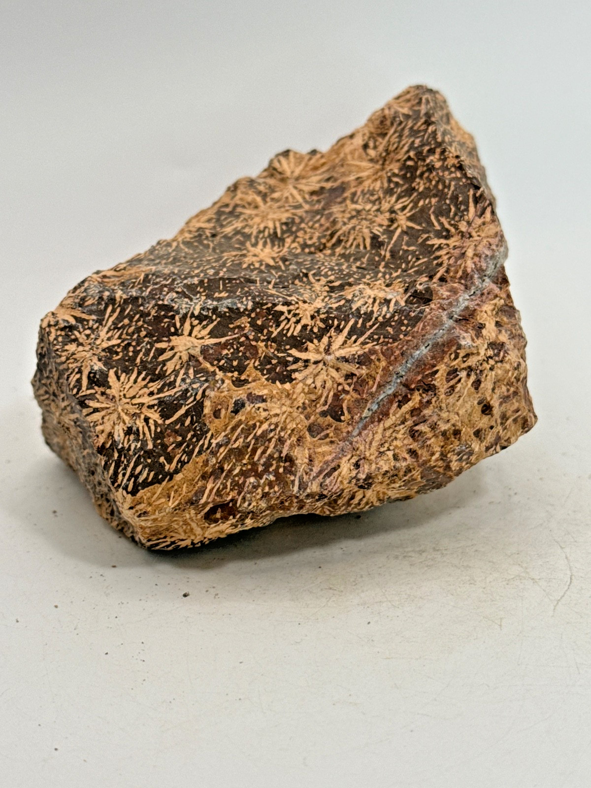 Beautiful Spider Jasper Chrysanthemum Specimen 430 Grams