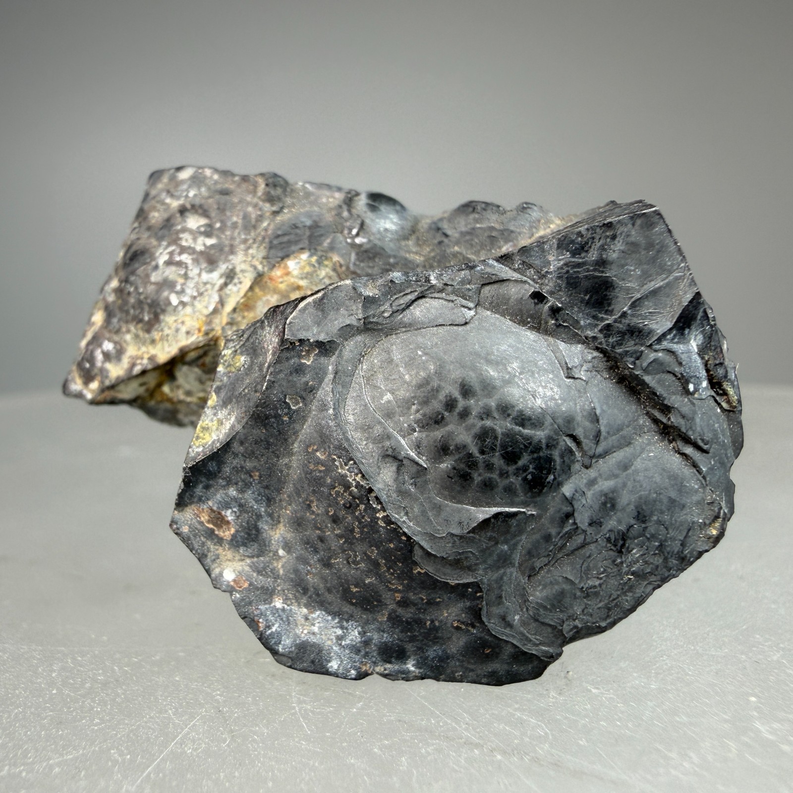 Nice Solid Native Arsenic: Příbram District, Central Bohemia, Czech Republic