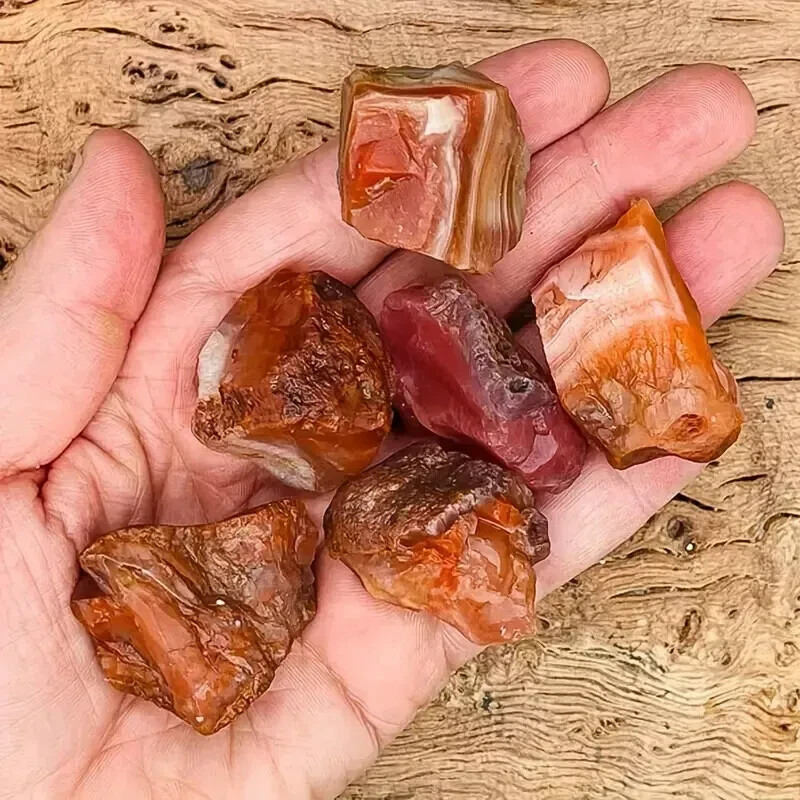 Raw Carnelian Natural Red Agate Healing Mineral Specimen Collectible Gift
