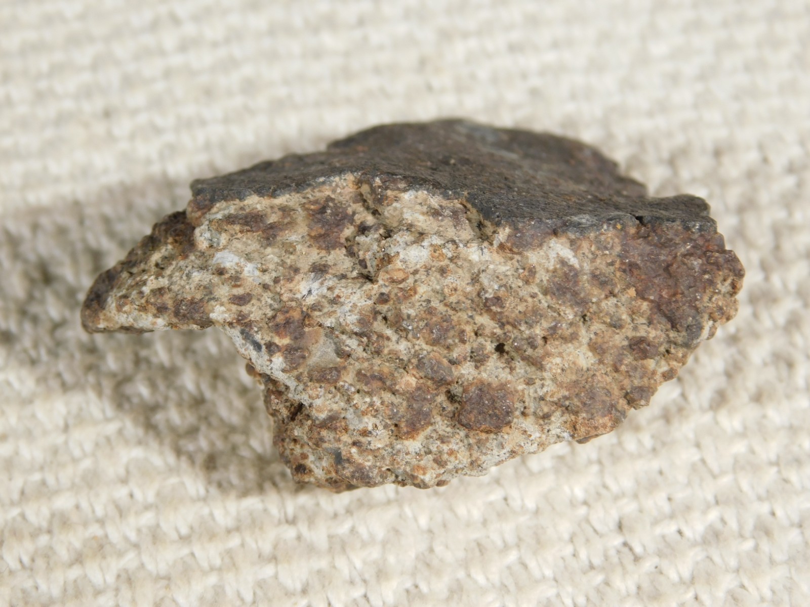 Classified NWA 8245 METEORITE 100% Natural FELL on Erfoud, Morocco 47.3gr