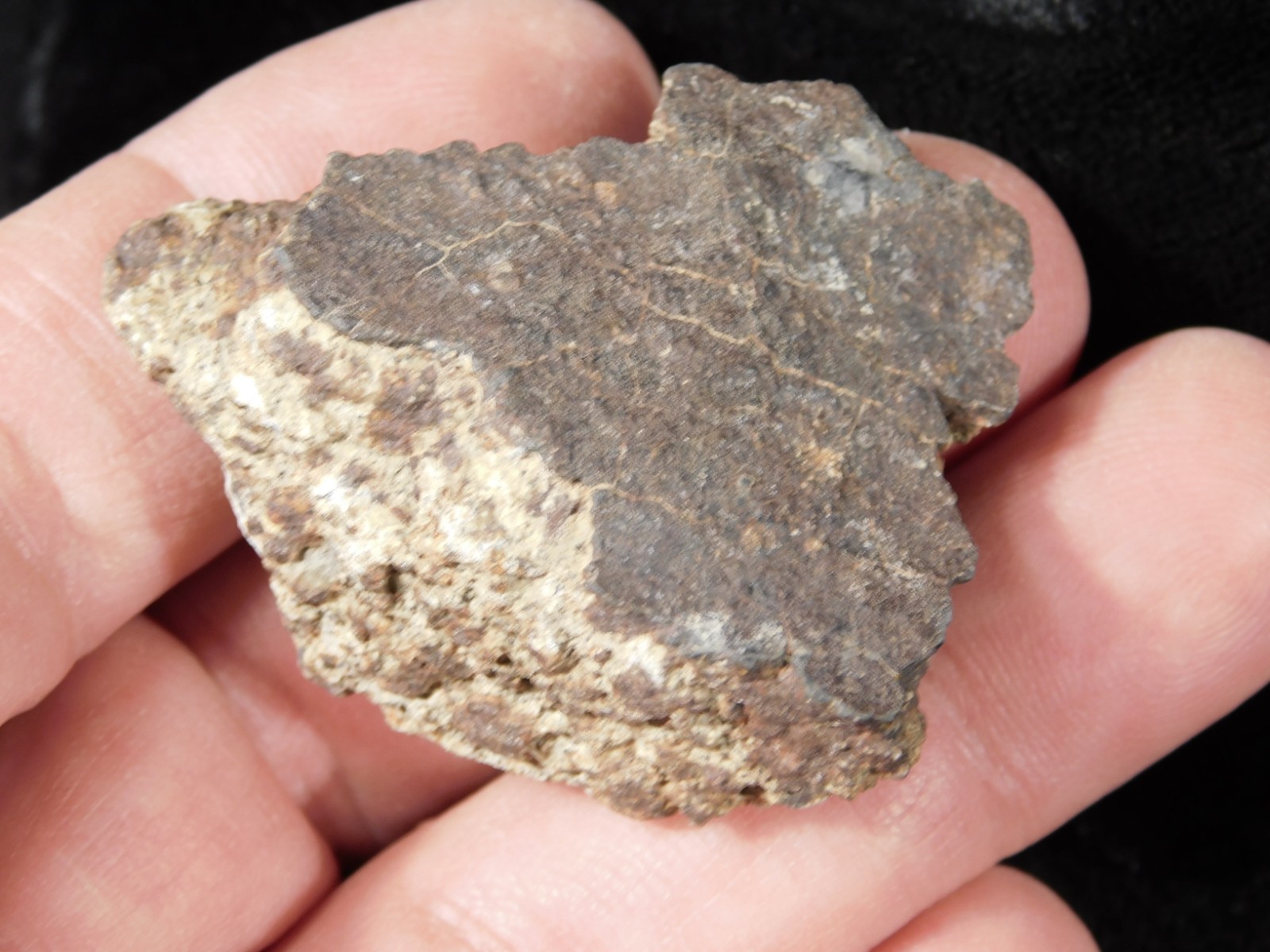 Classified NWA 8245 METEORITE 100% Natural FELL on Erfoud, Morocco 47.3gr