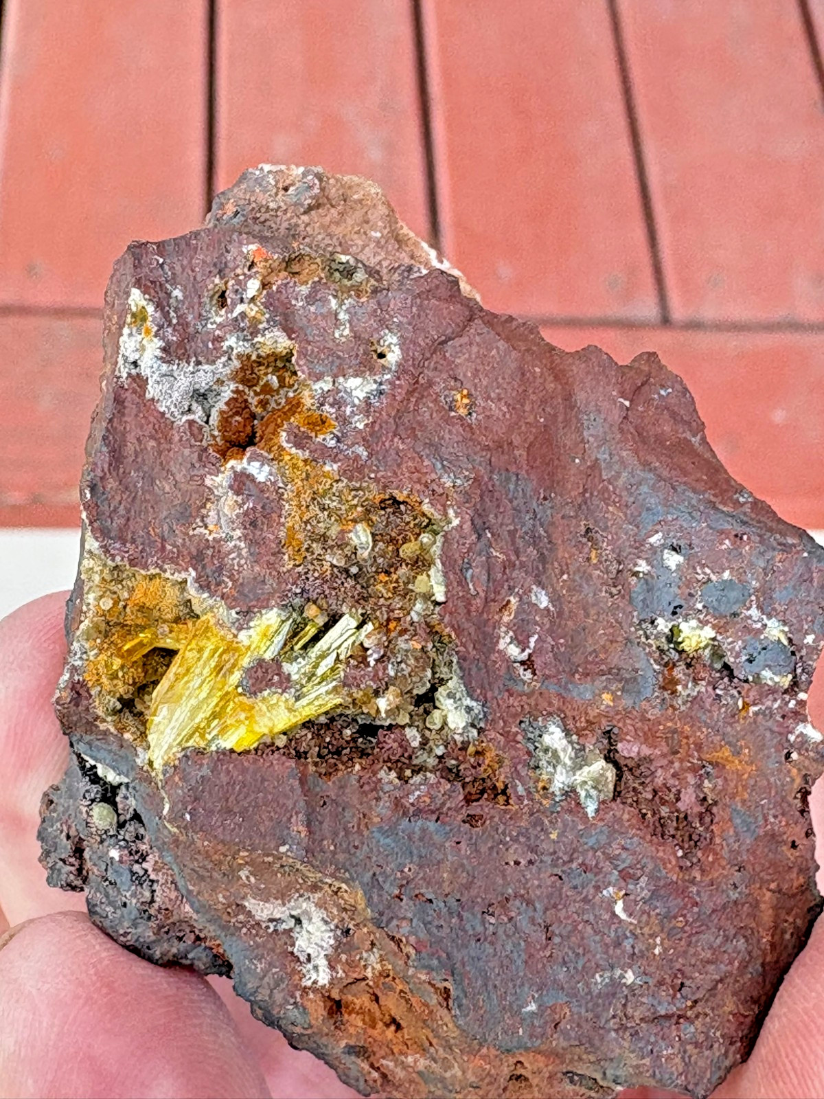 Legrandite crystal spray in matrix, Ojuela mine, Mapimi, Durango, Mexico