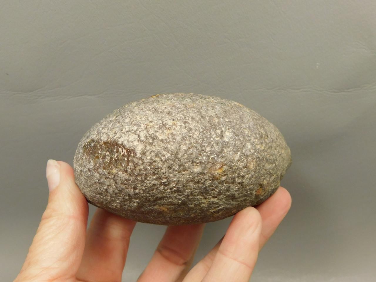 Brazilian Piranha Agate Collector Polished Rock Nodule #O15