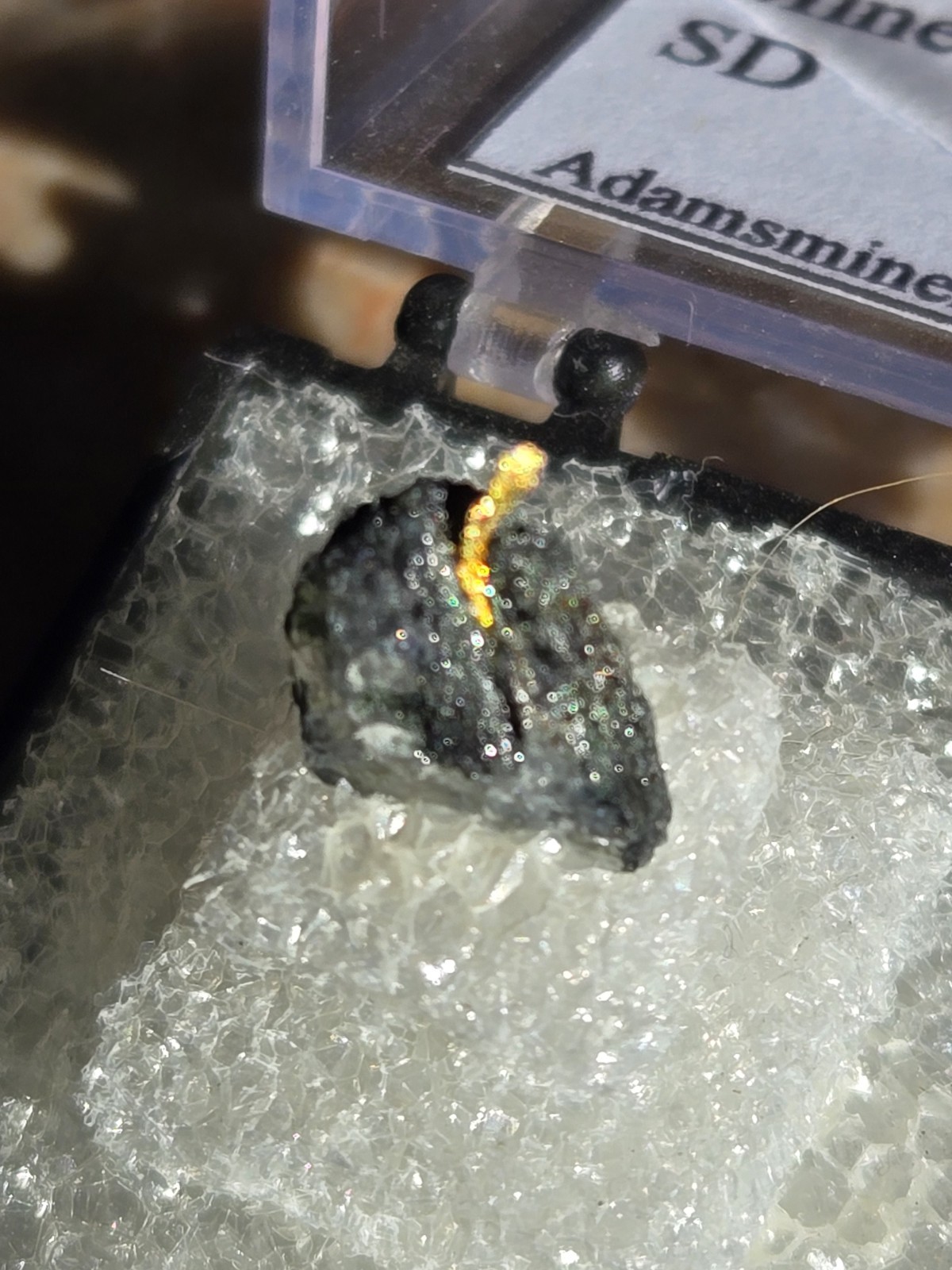 Beautiful Gold Thumbnail specimen