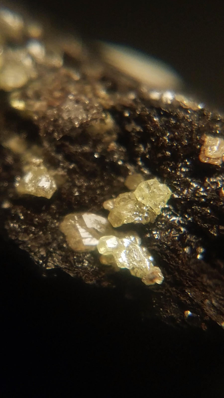 SiG: Tiny Light Pale Yellow Sulphur Crystals on Dark Matrix from Austria