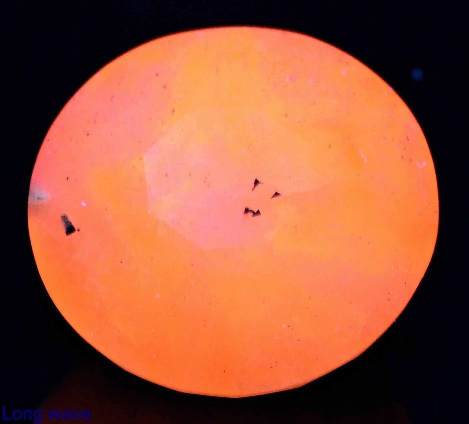 Mystery 14 Ct Fluorescent Phosphorescent Bi-Color Change Round Faceted Sodalite*