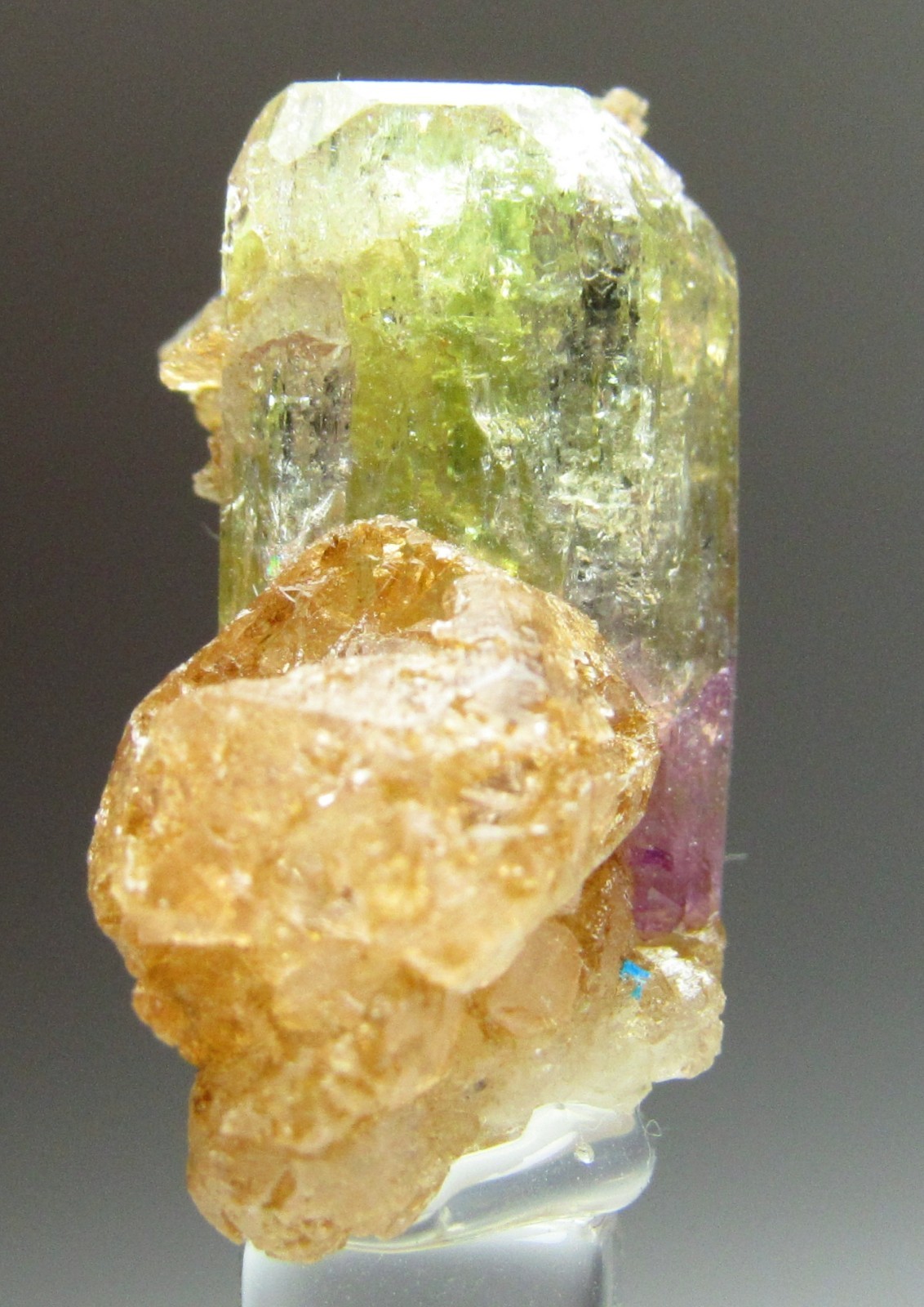ELEGANT ULTRA RARE COMBO VESUVIANITE, GROSSULAR, DIOPSIDE!!! JEFFREY MINE CANADA