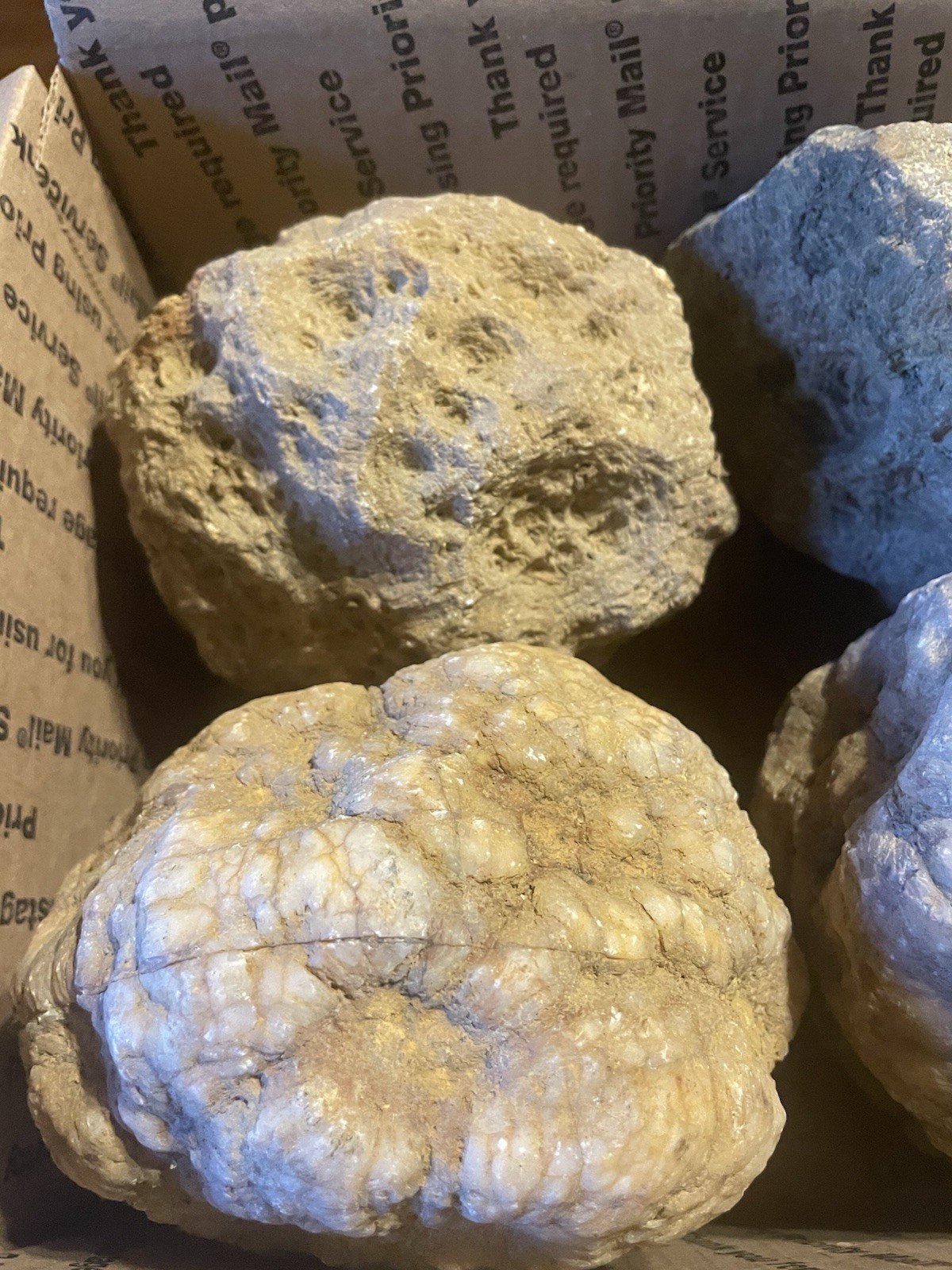 BOX OF KENTUCKY GEODES:4 BIG GEODES ALL RATTLE *4=20 LBS* ALL RATTLE