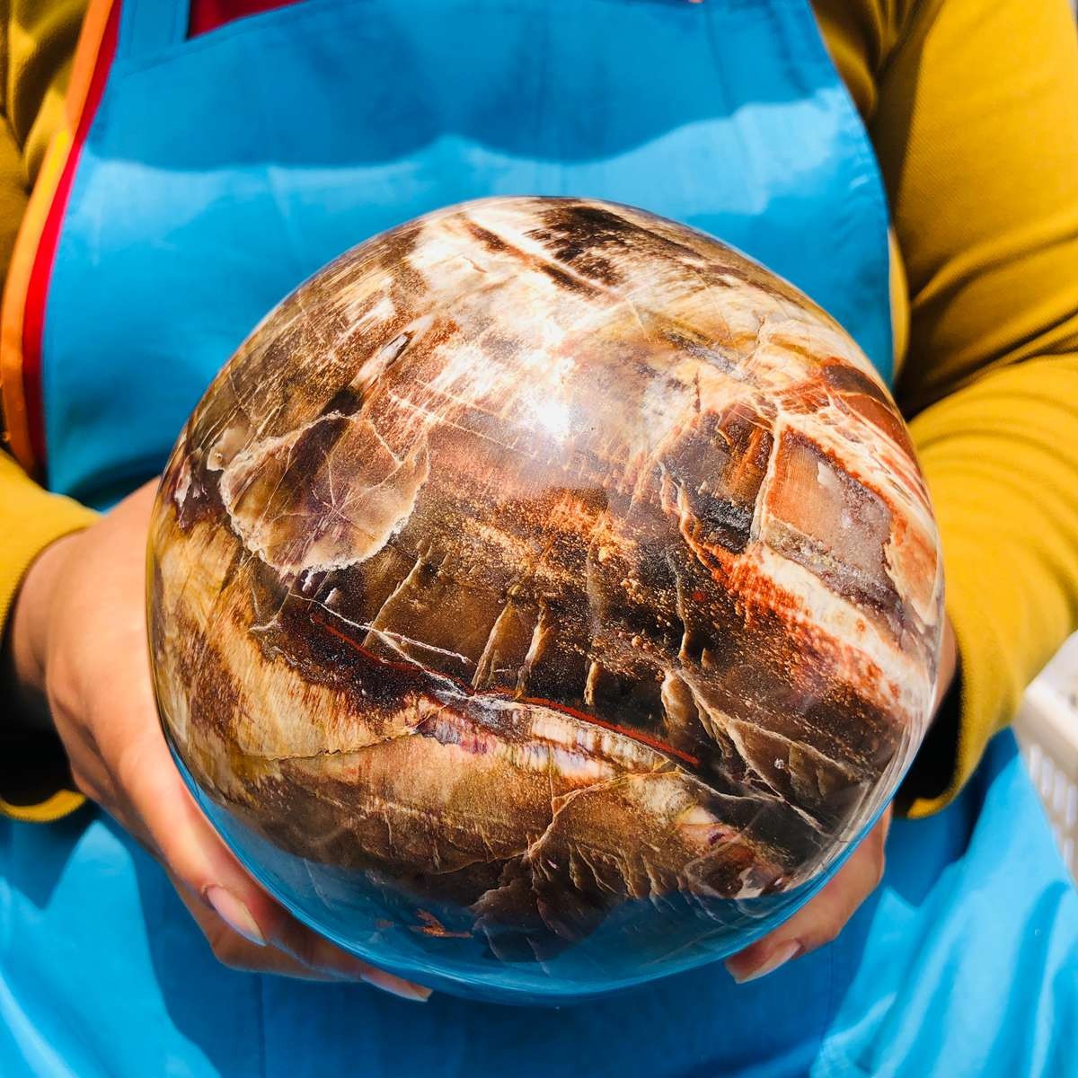 8.18LB Rare Natural Petrified Wood Ball Crystal Quartz Mineral Healing 4698
