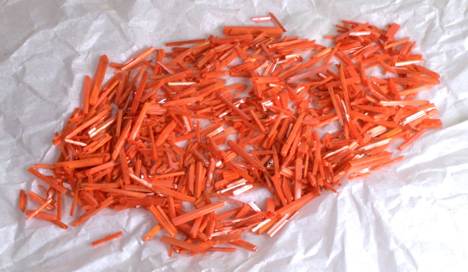 #5186 Crocoite Crystal Stick – Adelaide Mine, Tasmania [5 PIECES ONLY]