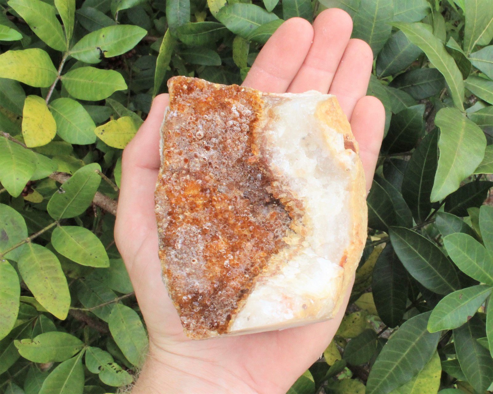 Citrine Cut Base Clusters – CLEARANCE Quality Free Standing Citrine Crystals