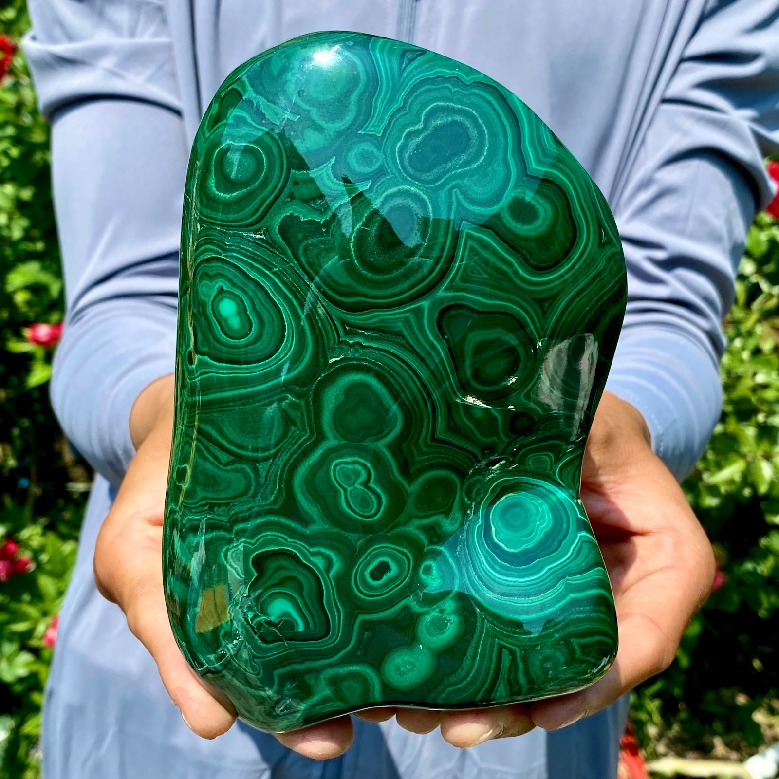 3.9LB Natural glossy Malachite egg transparent cluster rough mineral sample