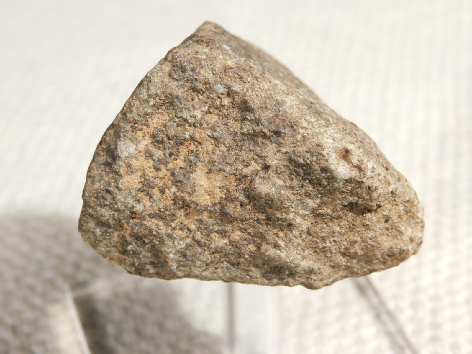 Classified NWA 8245 METEORITE Spots of Dark Fusion Crust! Erfoud, Morocco 74.5gr