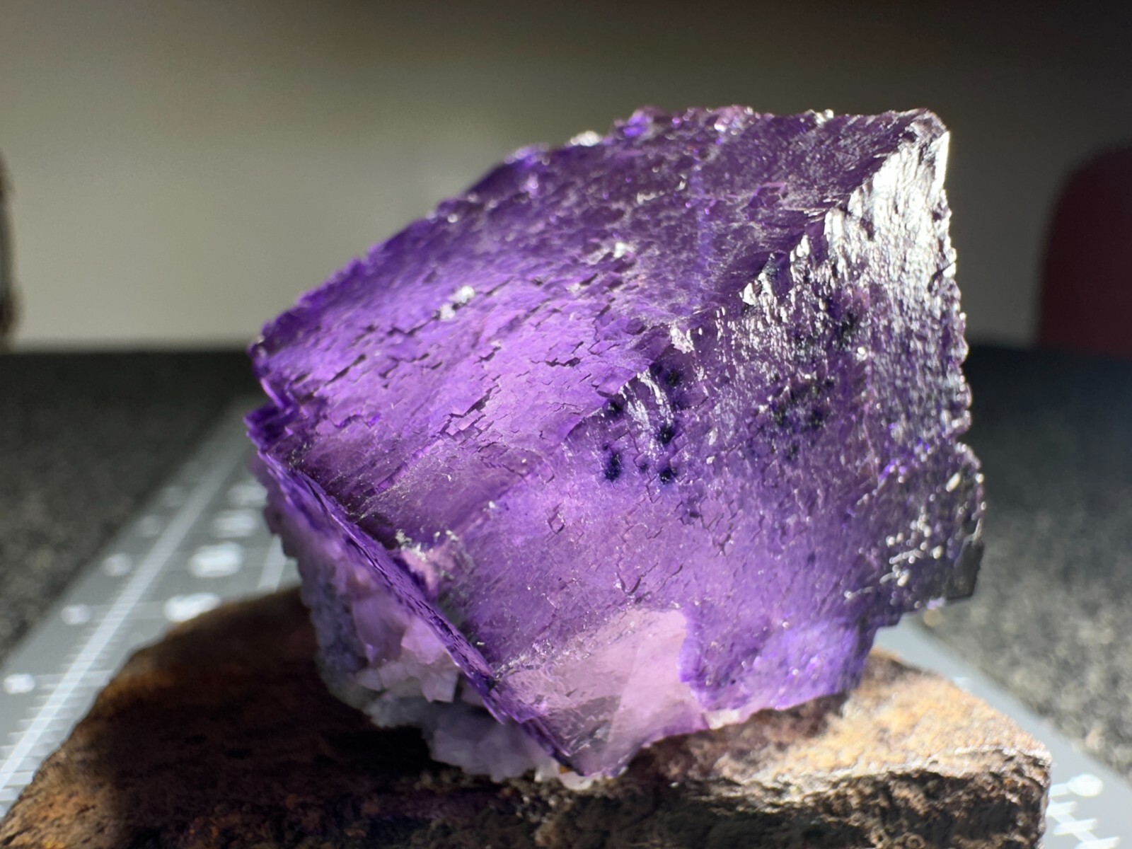 ➤Natural 1-1/4 Inch Cube PURPLE FLUORITE CRYSTAL Cave In Rock Illinois VIDEO➤032