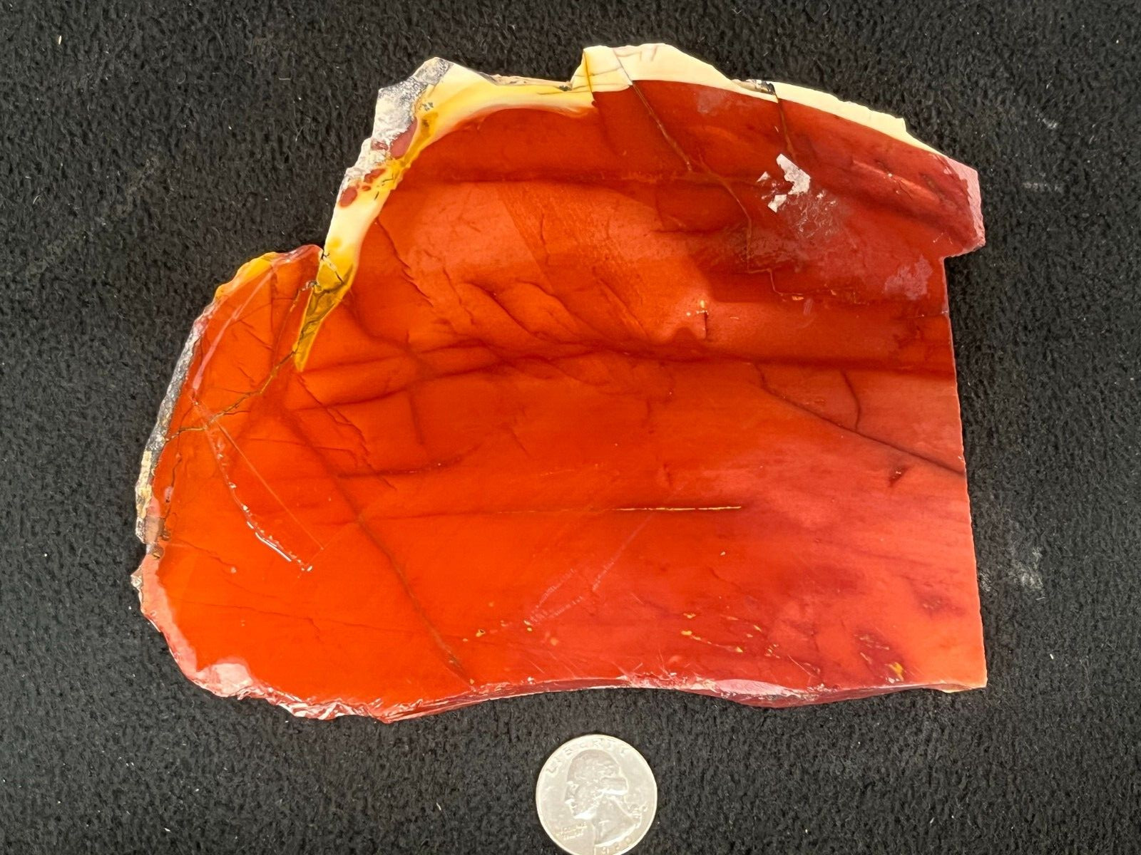 6-1/2″ x 5-1/8″ x 5/16″ Mookaite Jasper Slab Australia Red Cabbing Display