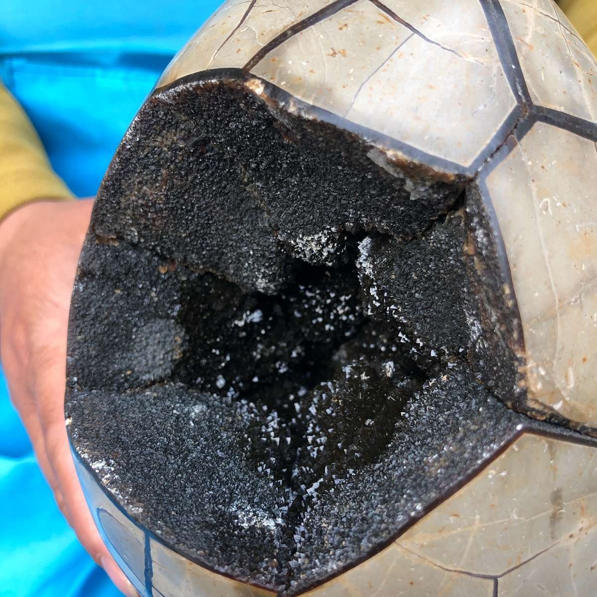 7.23LB Natural Septarian Dragon Egg Geode with Lid Reiki Energy Healing Crystal