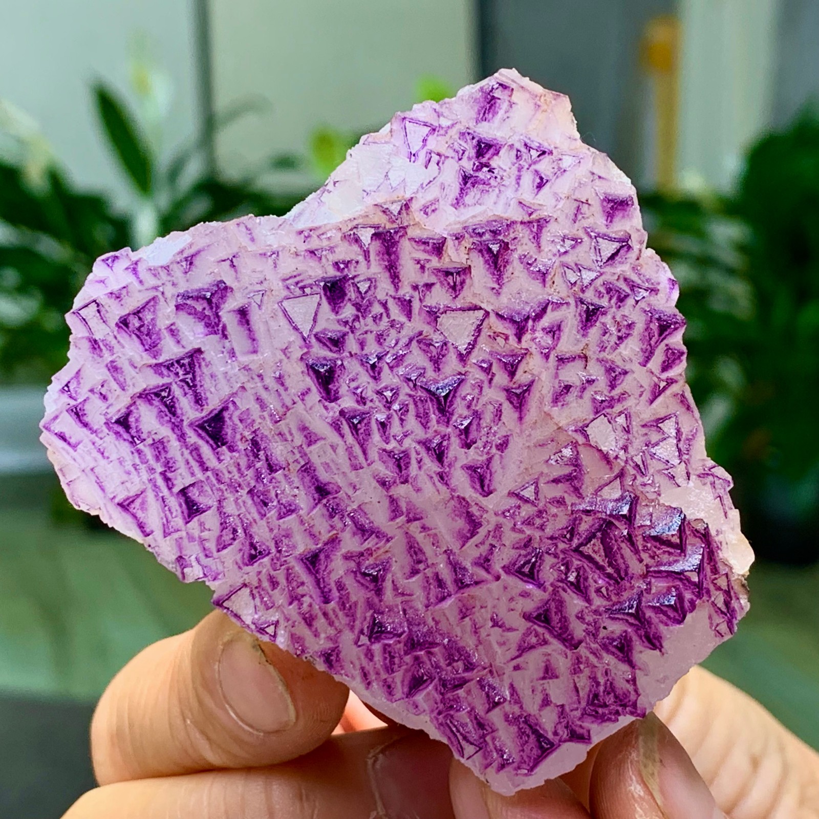 153G Natural fluorite purple edged cubic crystal mineral sample