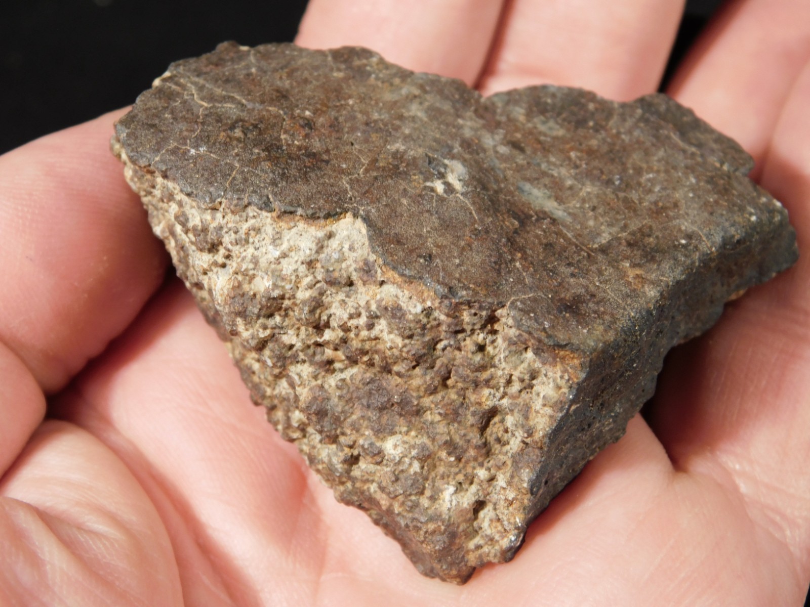 Classified NWA 8245 METEORITE 100% Natural FELL on Erfoud, Morocco 114gr