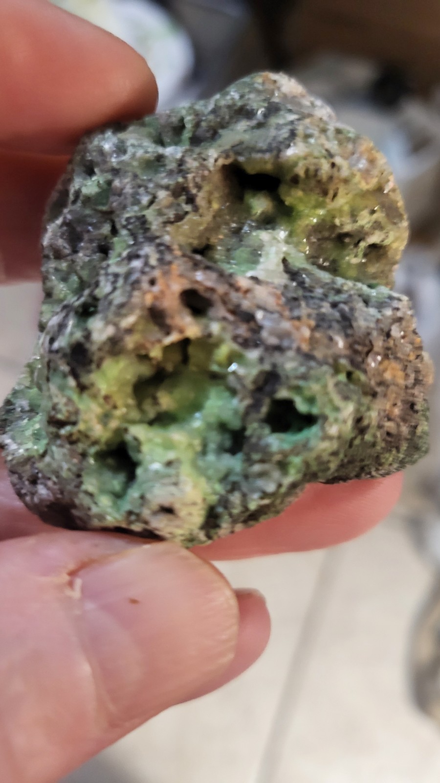 Highly Prized Rock and Mineral Collection