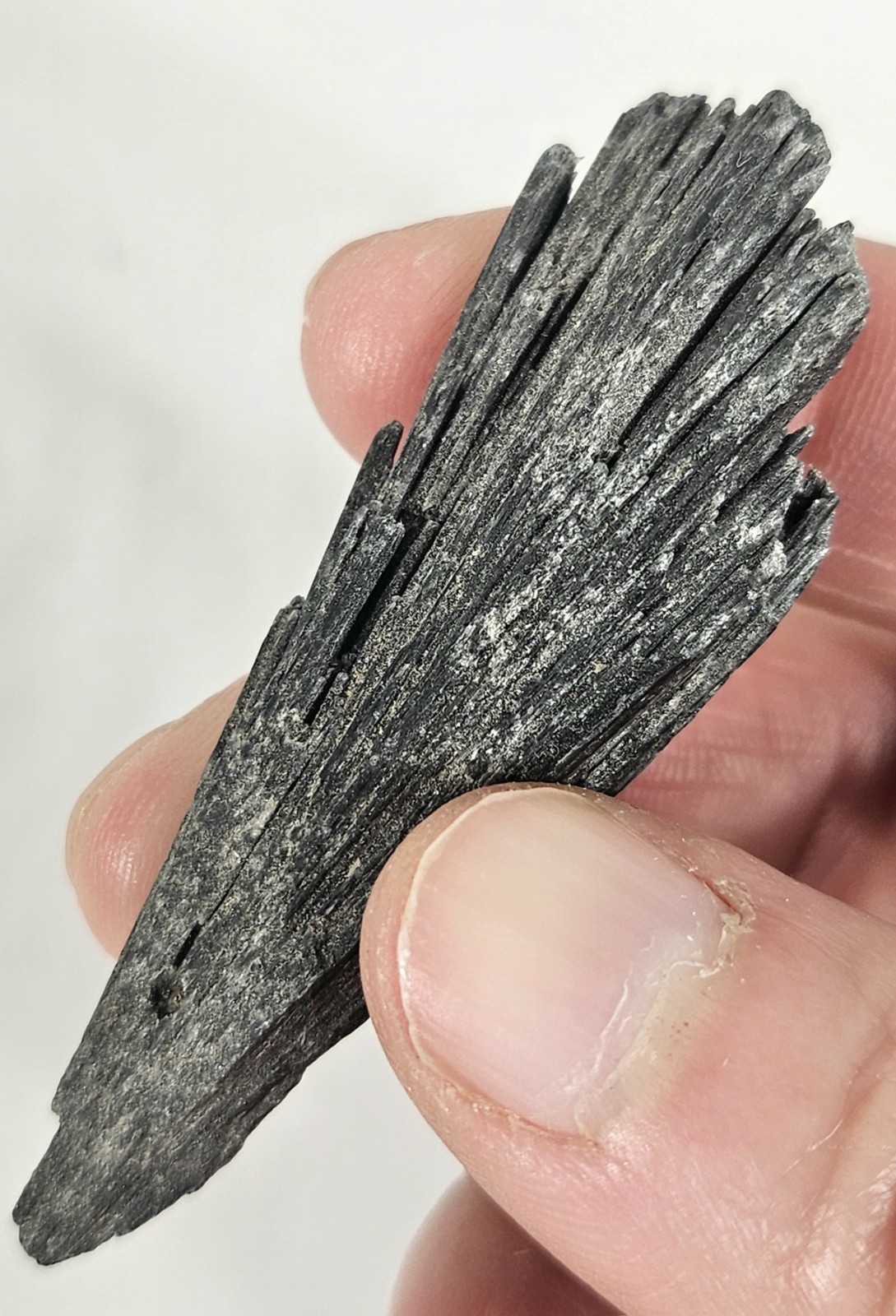 Natural Rough Black Kyanite Fan Blade – Witch’s Broom Crystal Healing Specimen