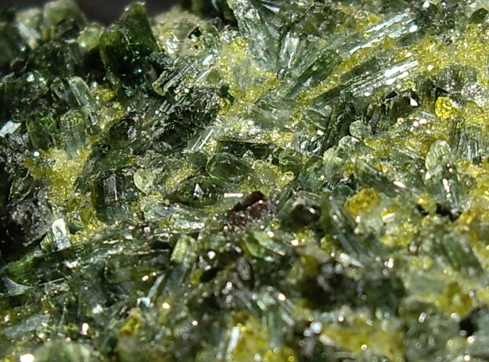 Awesome Magnetite, Vesuvianite, Garnet, and Diopside Crystals on Matrix 23.3g