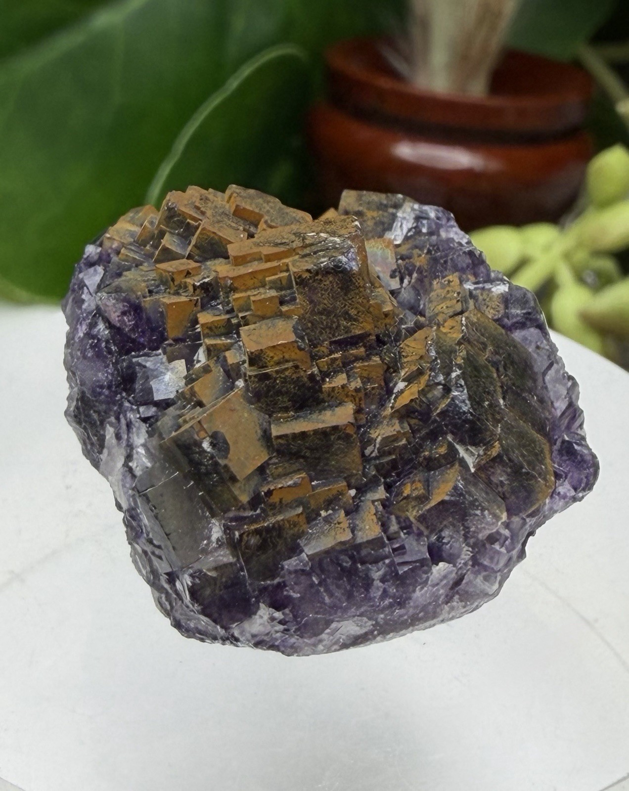 Crystal 25g Rainbow Covered Purple Fluorite UV Reactive Cluster Specimen Mineral