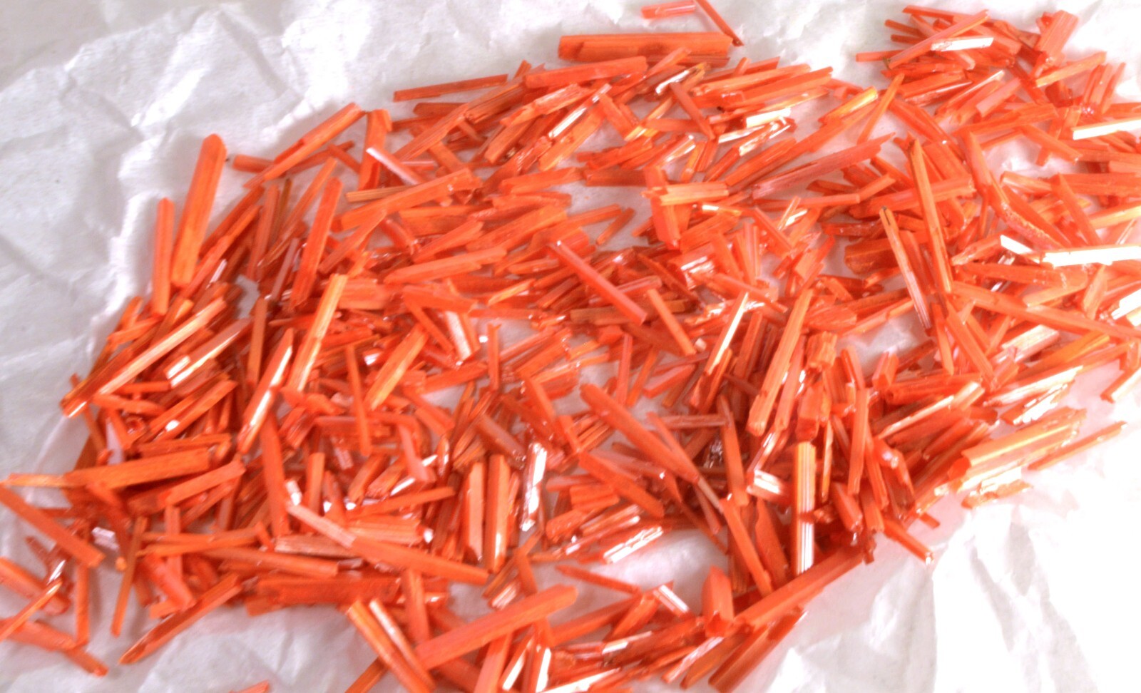 #5186 Crocoite Crystal Stick – Adelaide Mine, Tasmania [5 PIECES ONLY]