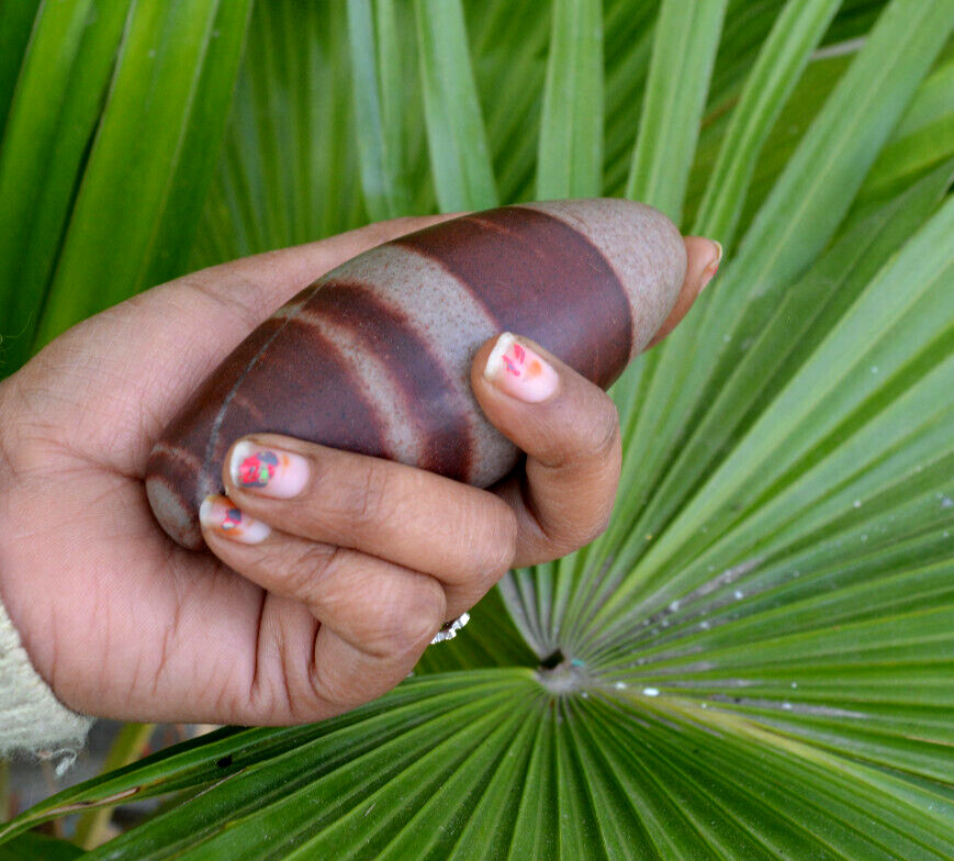 Shiva Lingam Polished Stone | Narmarda River Stone -1126