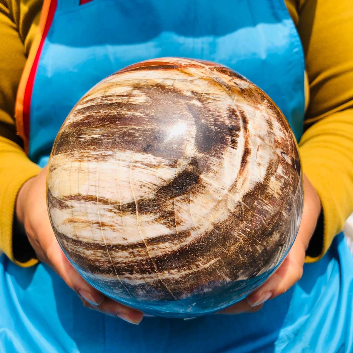 8.18LB Rare Natural Petrified Wood Ball Crystal Quartz Mineral Healing 4698