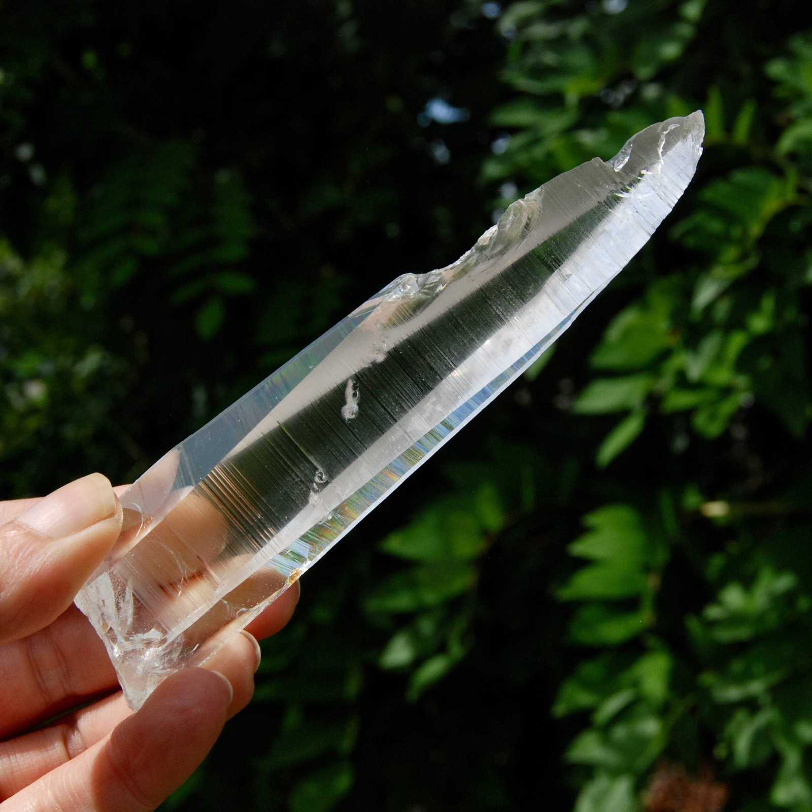 Lemurian Crystal Laser Starbary – 5.25″ 111g Etched Optical Empathic Warrior Qua
