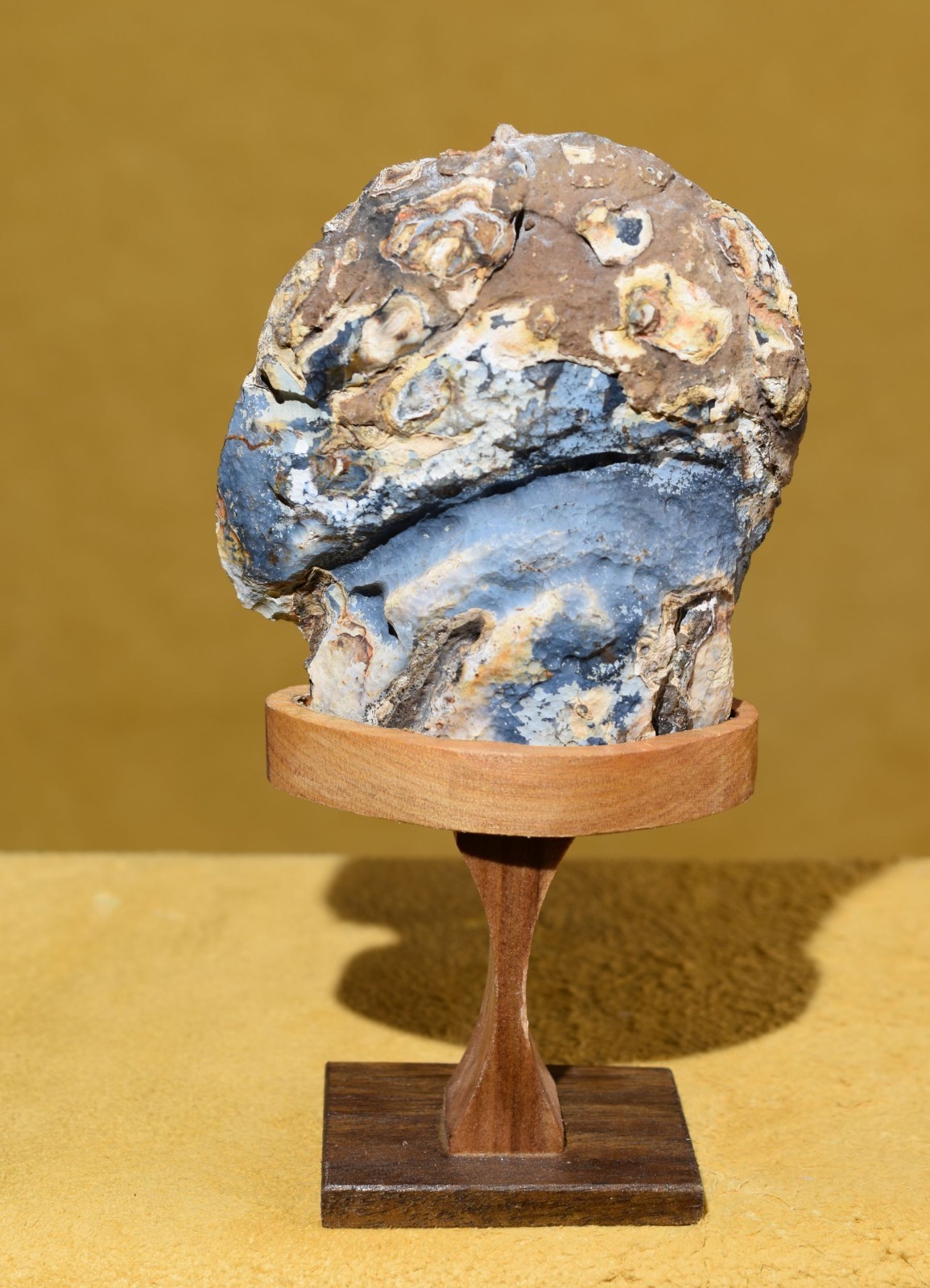 Stunning Polished Brazilian Agate End W/ Handmade Elegant Wood Display Stand