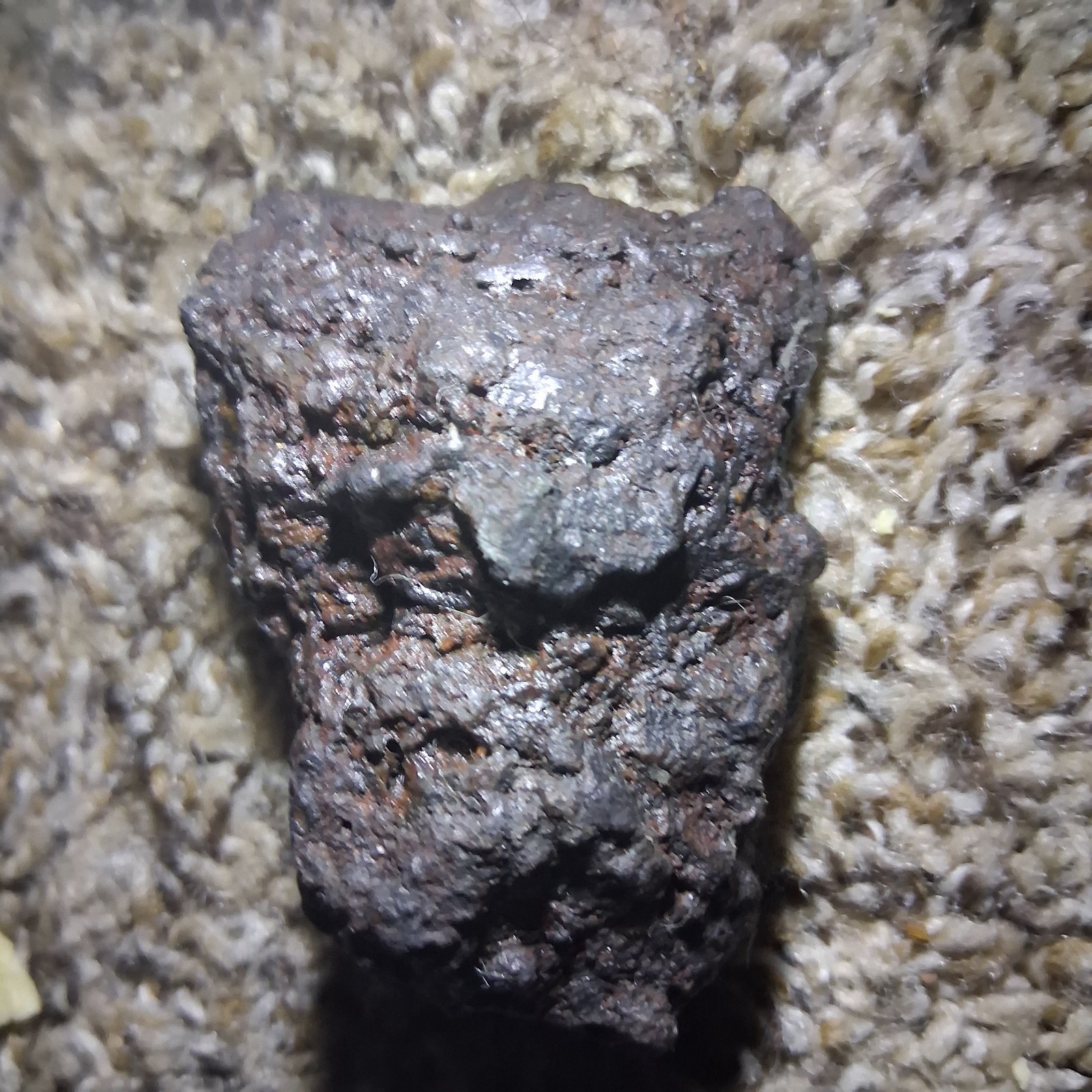 Meteorite