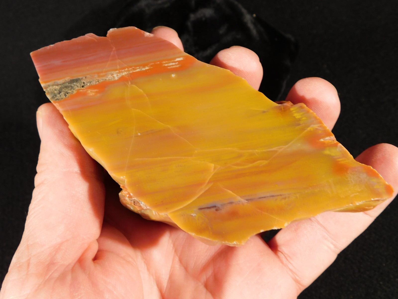 Polished Deep Yellow/RED Petrified RAINBOW WOOD Fossil End Cut Arizona 309gr