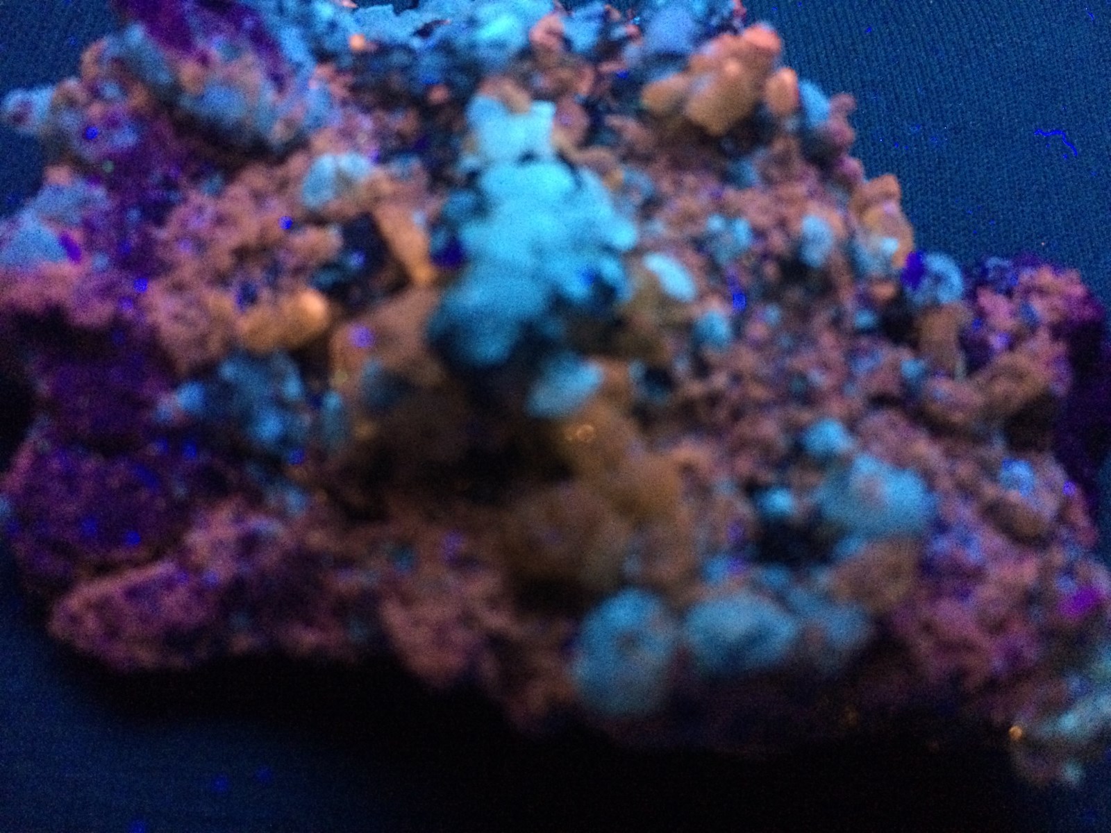 KB: BRIGHT SW FL. ORANGE APATITE XLS. W/ FL. WHITE CALCITE FROM SPAIN