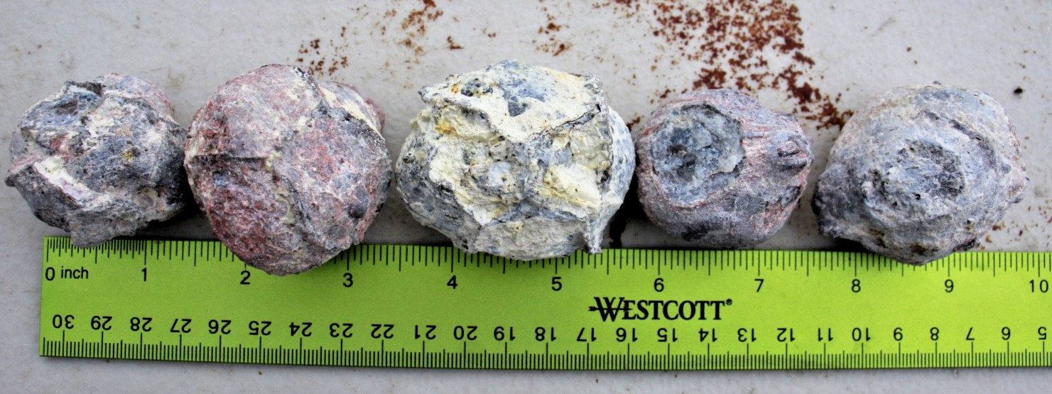 Two Pounds, 10-15 Whole Dugway Geodes • 1.5″ – 2.0″ diam.