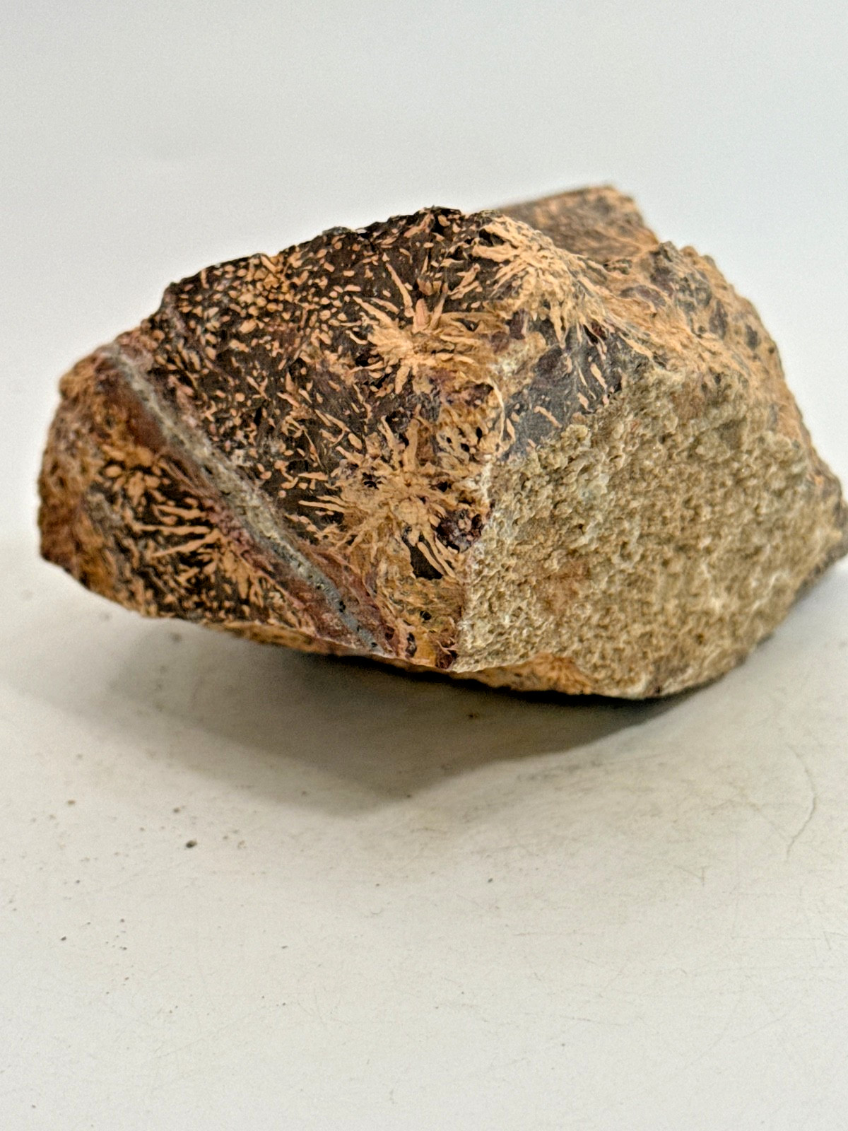 Beautiful Spider Jasper Chrysanthemum Specimen 430 Grams