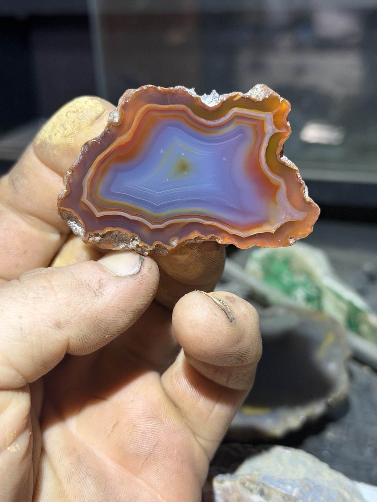 Fracture Free Malawi Agate Mirror Polished | Good Size Rare Multicolored *Africa