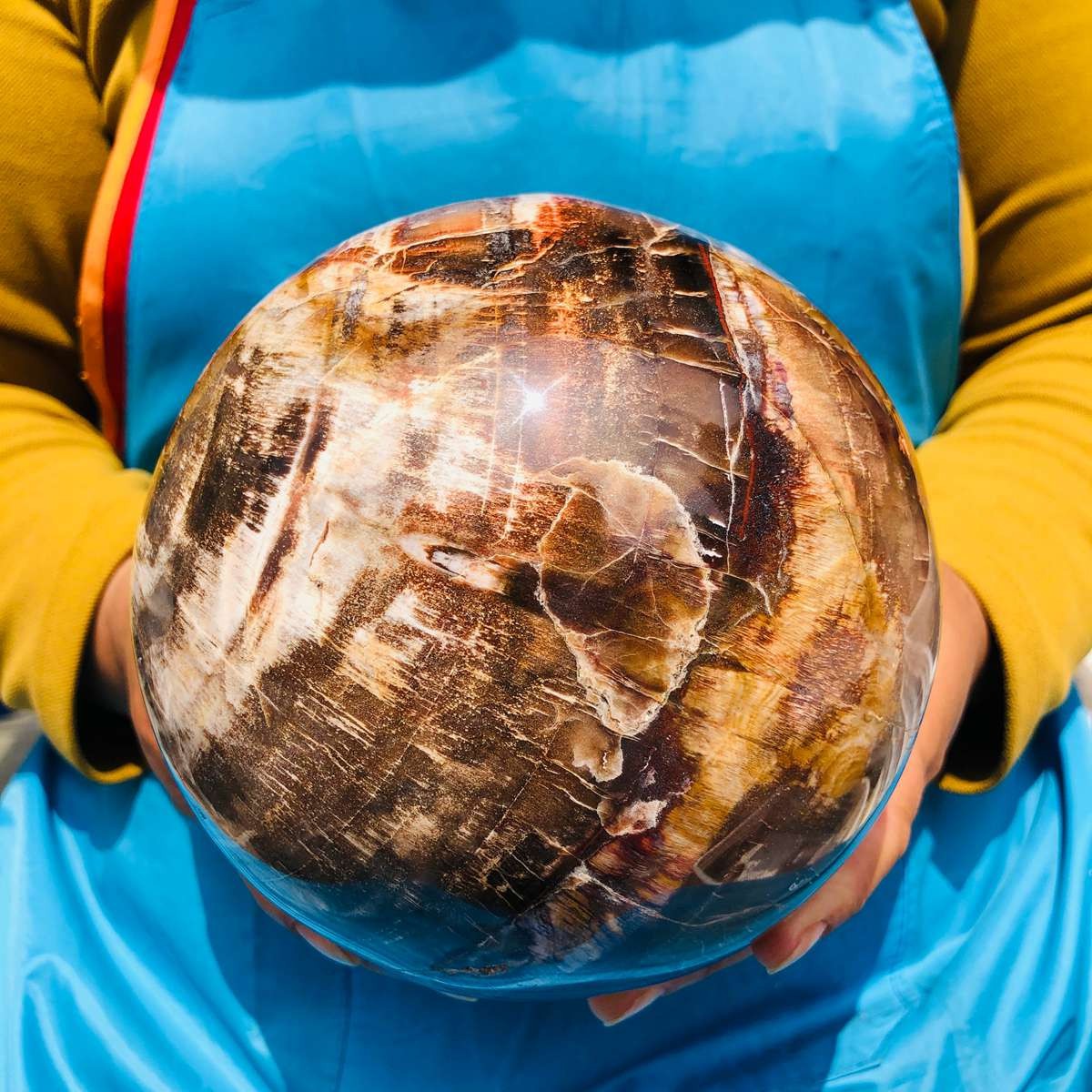 8.18LB Rare Natural Petrified Wood Ball Crystal Quartz Mineral Healing 4698