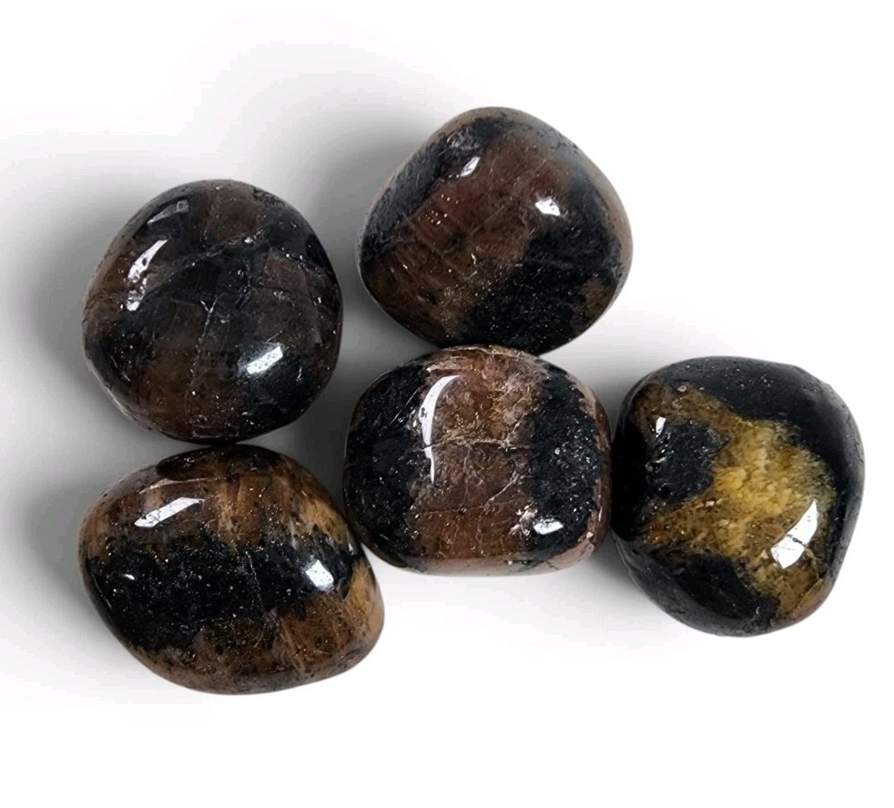 Chiastolite Andalusite Crystal Cross Polished Stones 59.5 grams.