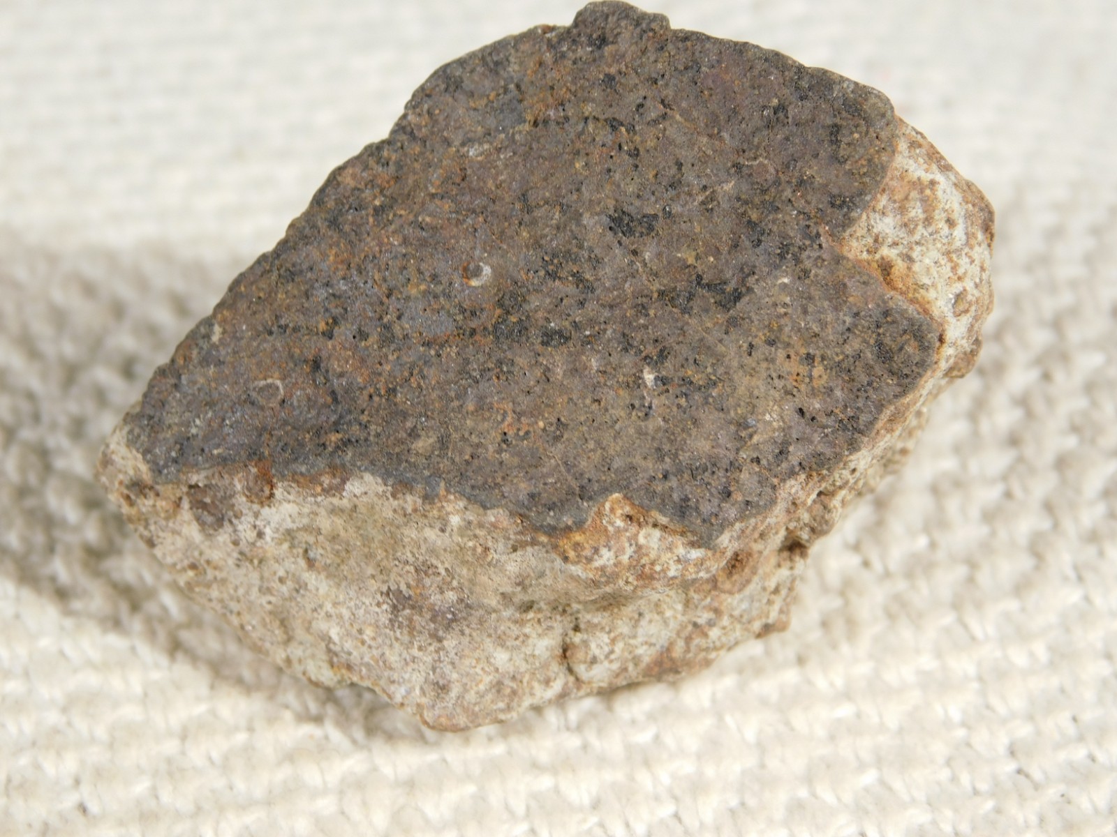 Classified NWA 8245 METEORITE 100% Natural FELL on Erfoud, Morocco 68.0gr