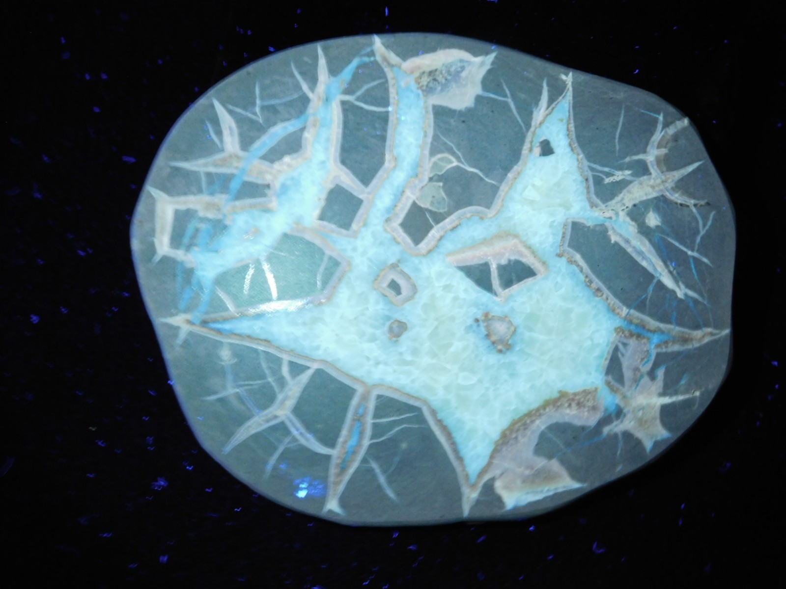 Polished FLUORESCENT SEPTARIAN Nodule Slice 100% Natural w/Stand 244gr