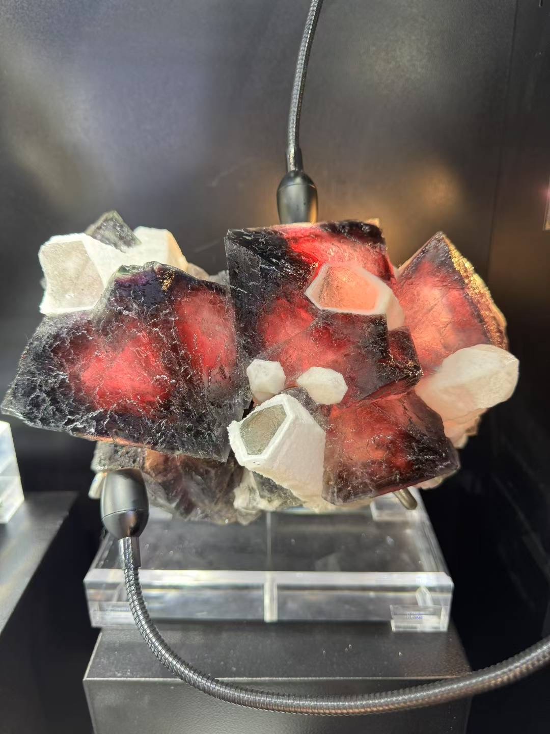 13.5LB Museum level Seven Colored Fluorite and White Crystal Symbiotic Specimen