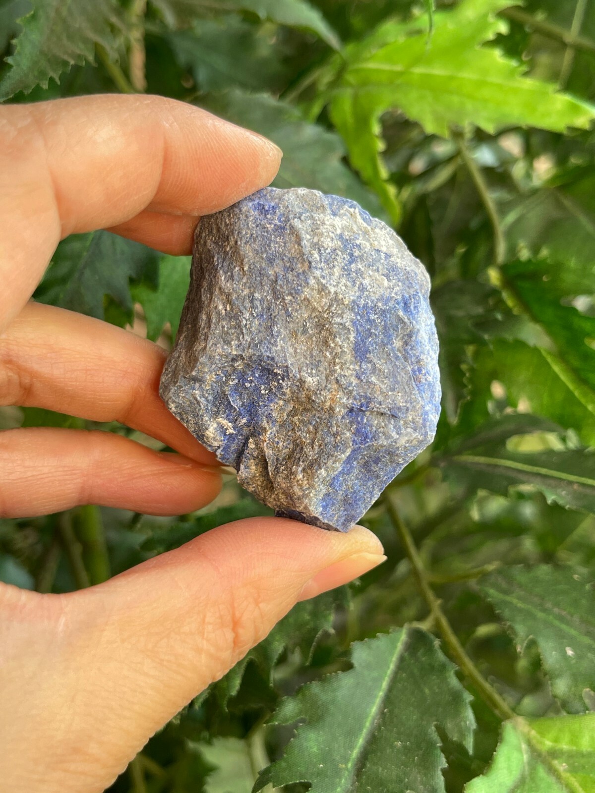 Grade A+ Large Lapis Lazuli Raw Stone 1-2 Inches, Wholesale Bulk Lot