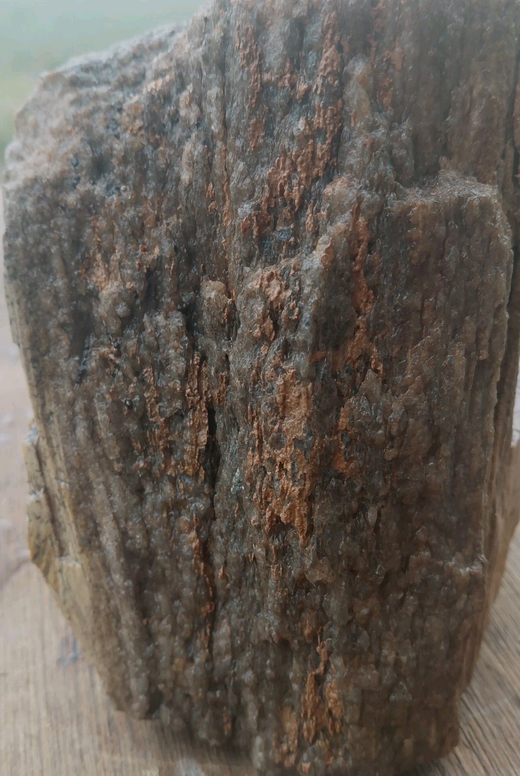 Petrified Wood 4lbs 9.5oz Limb Quartz Replaced Bark UV+ Henry Mountains UT Displ