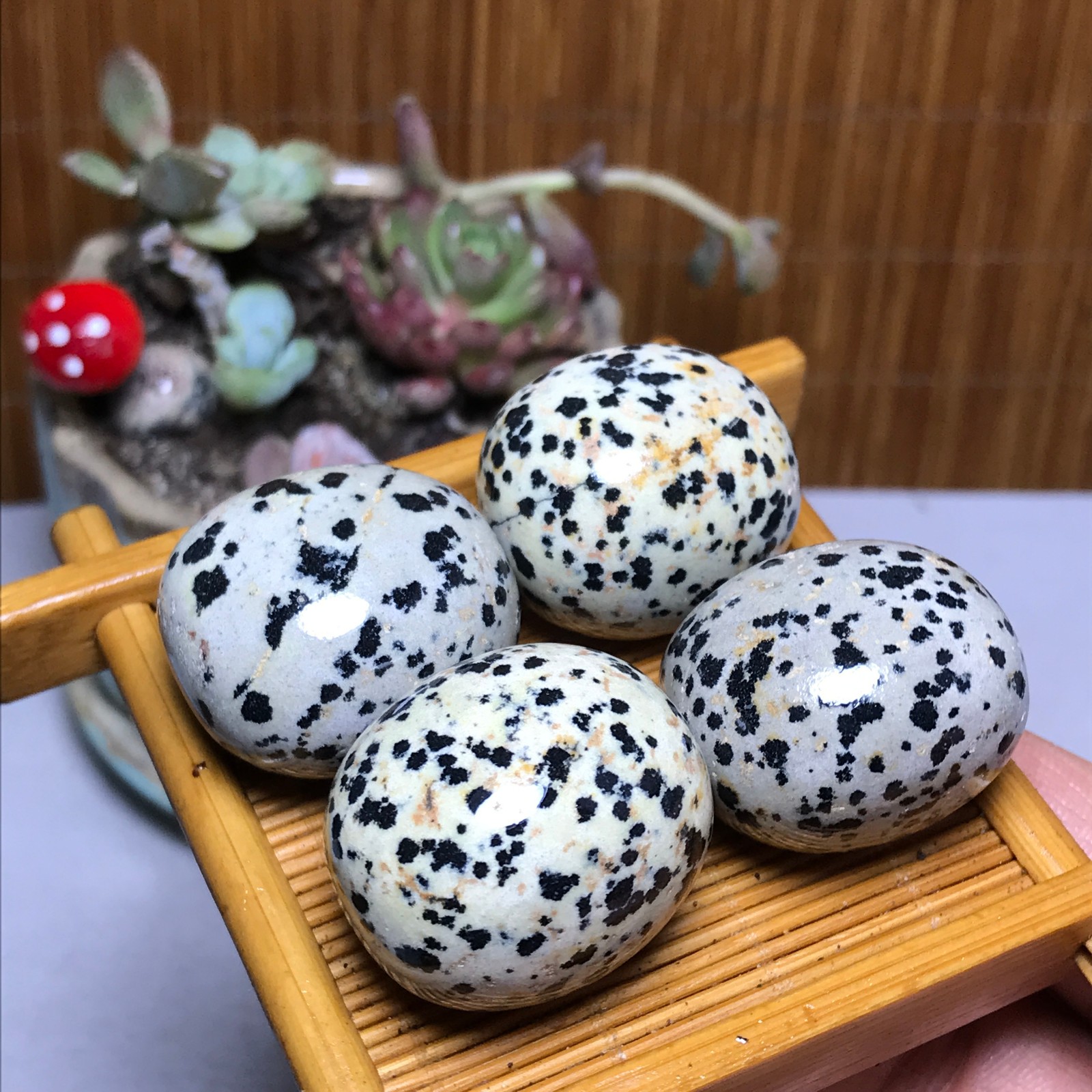28-23-23mm 4Pcs Natural spotted stone Crystal gemstone Mineral Specimen A4404