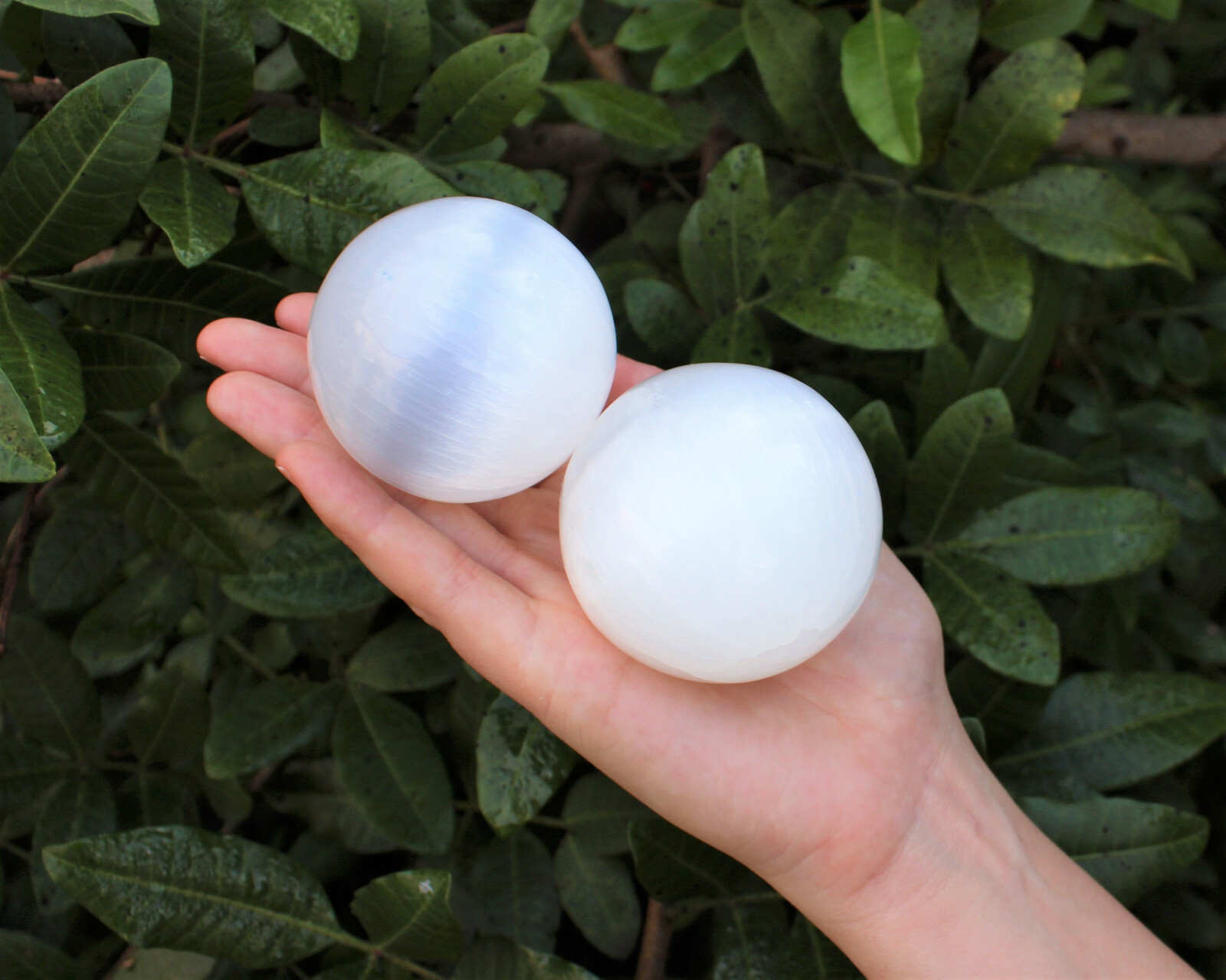 Selenite Crystal Sphere + Stand, LARGE 60 mm (Polished Selenite Crystal Healing)