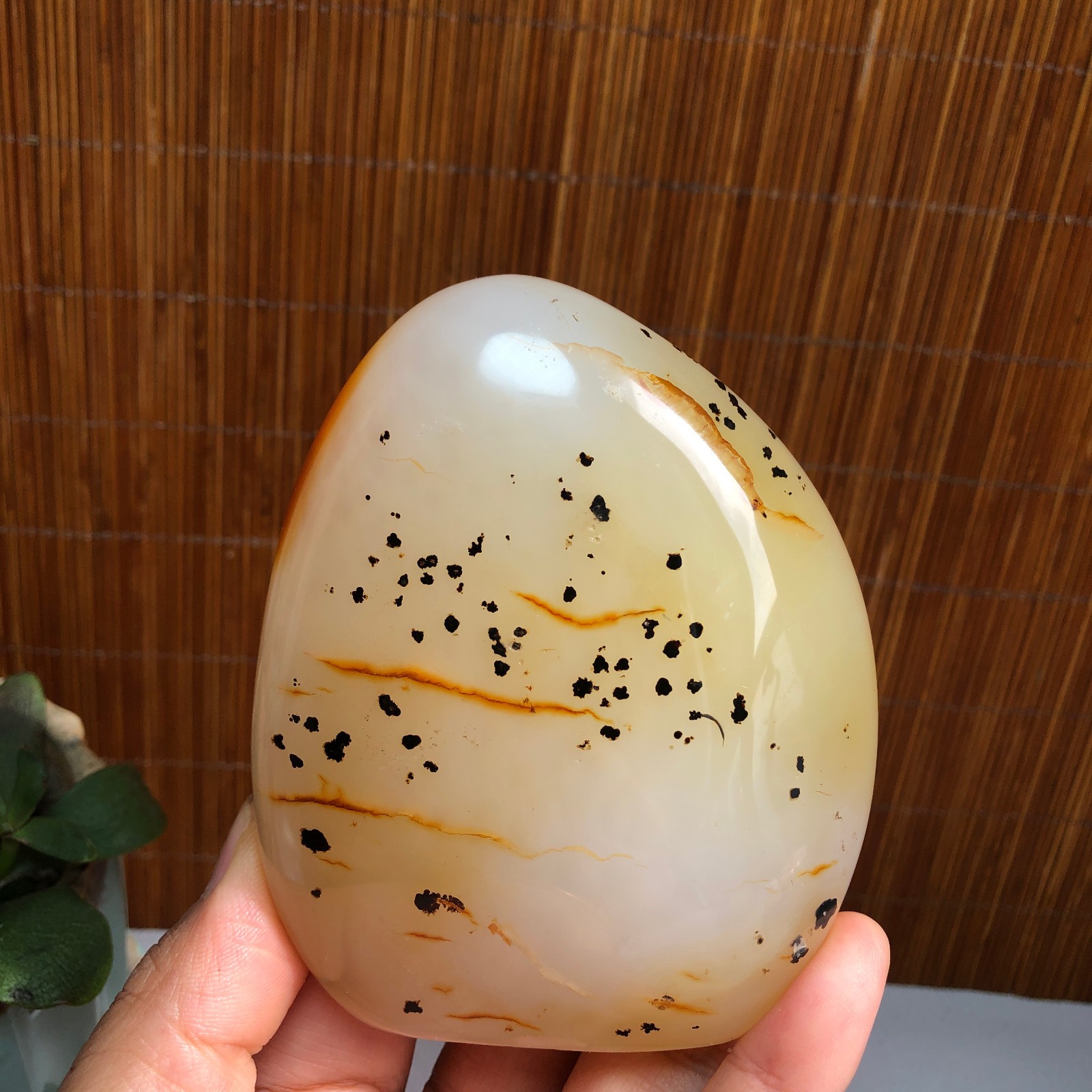 Natural aquatic plants agate pretty Crystal specimens free standing 288g A1487