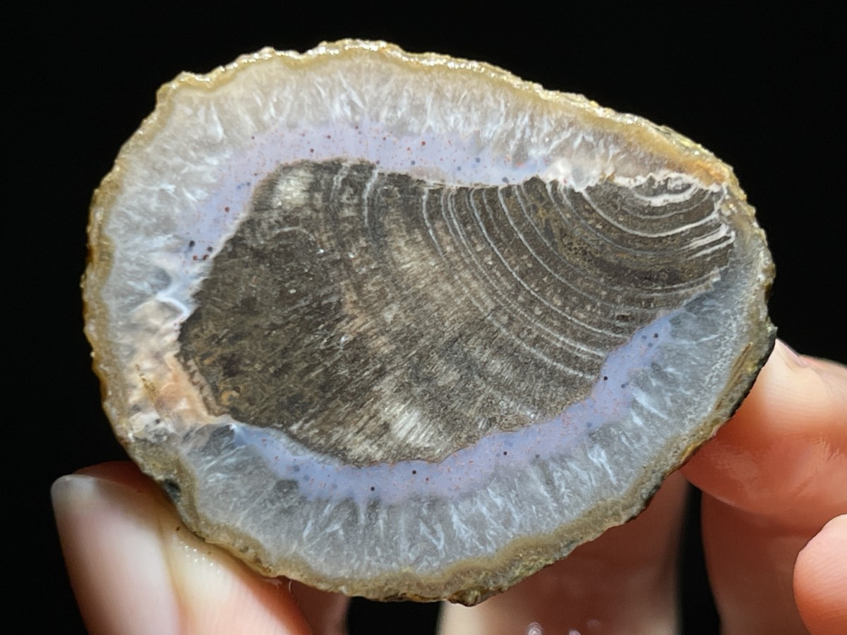 Natural 15 half Rough Chinese Agate crystal geode Achat Nodule Hebei 535g AA5